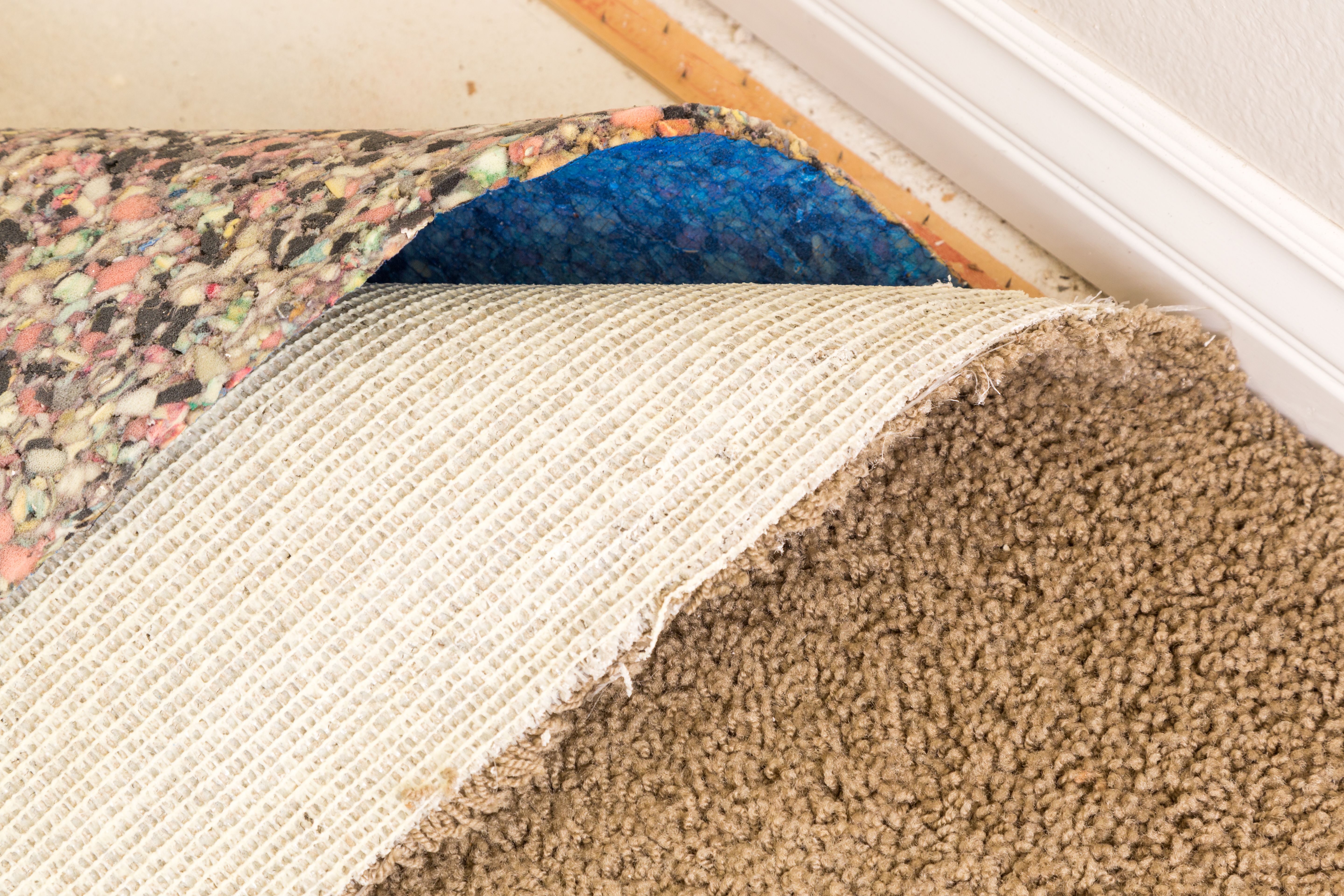 mold free carpets