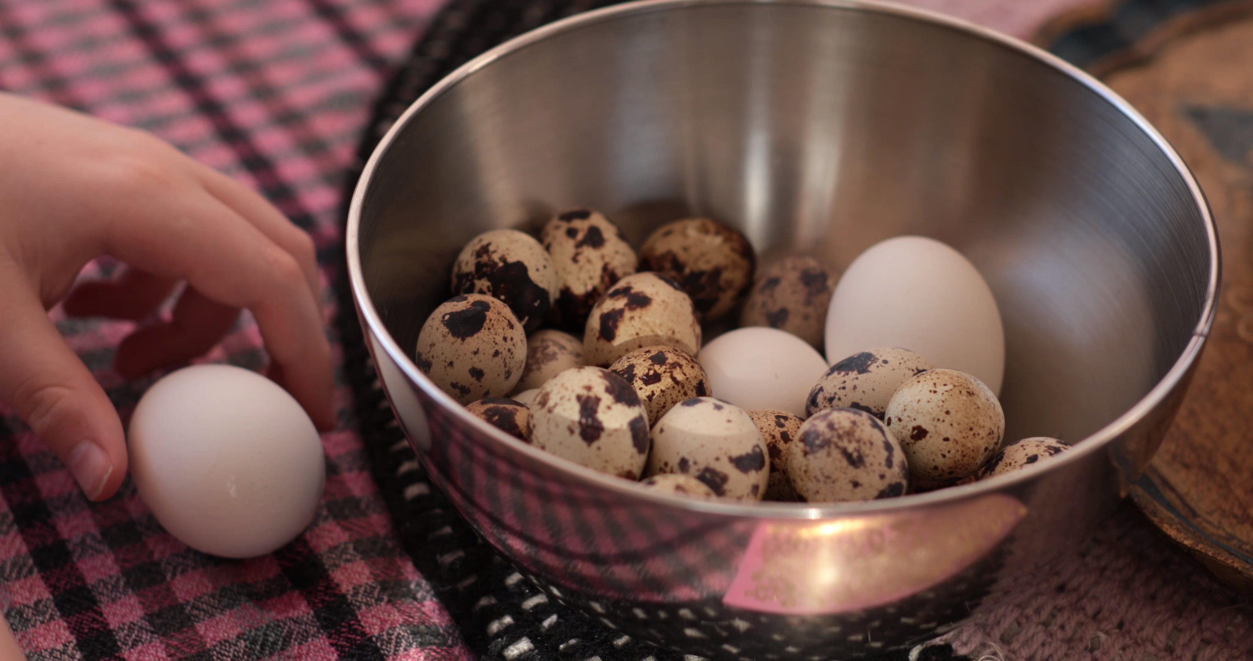 quail eggs preparation