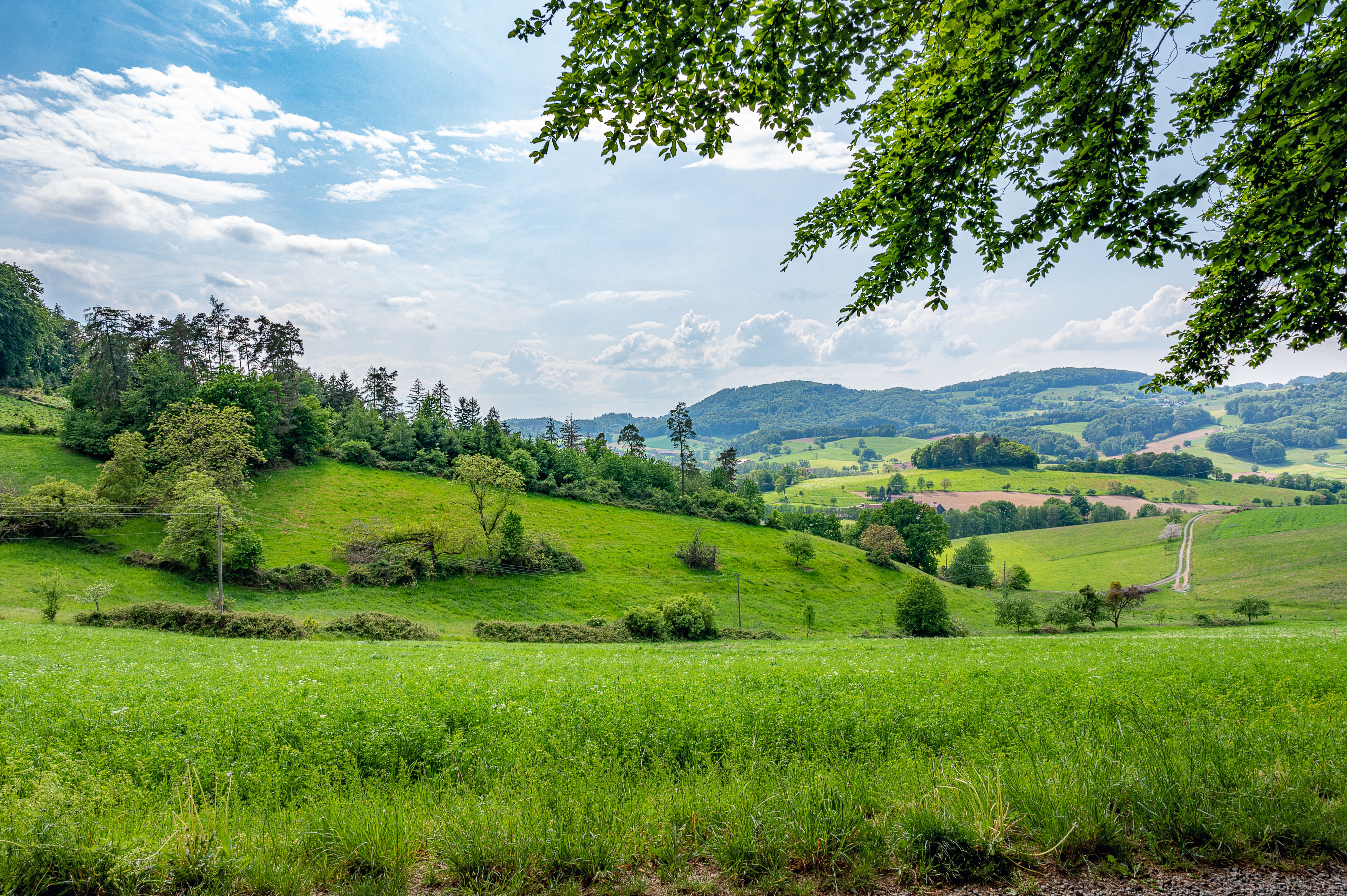 Odenwald landscape