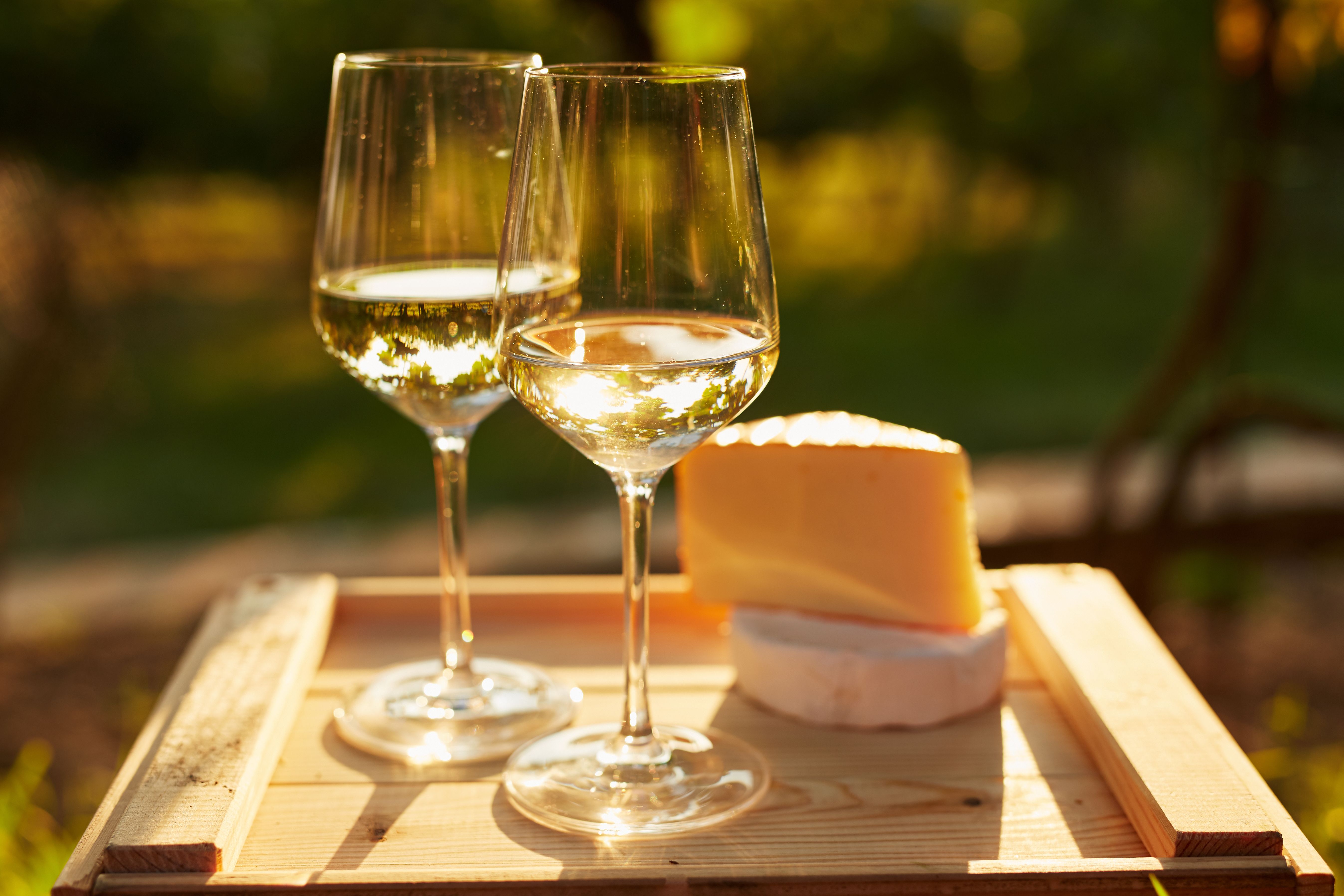 white wine cheese