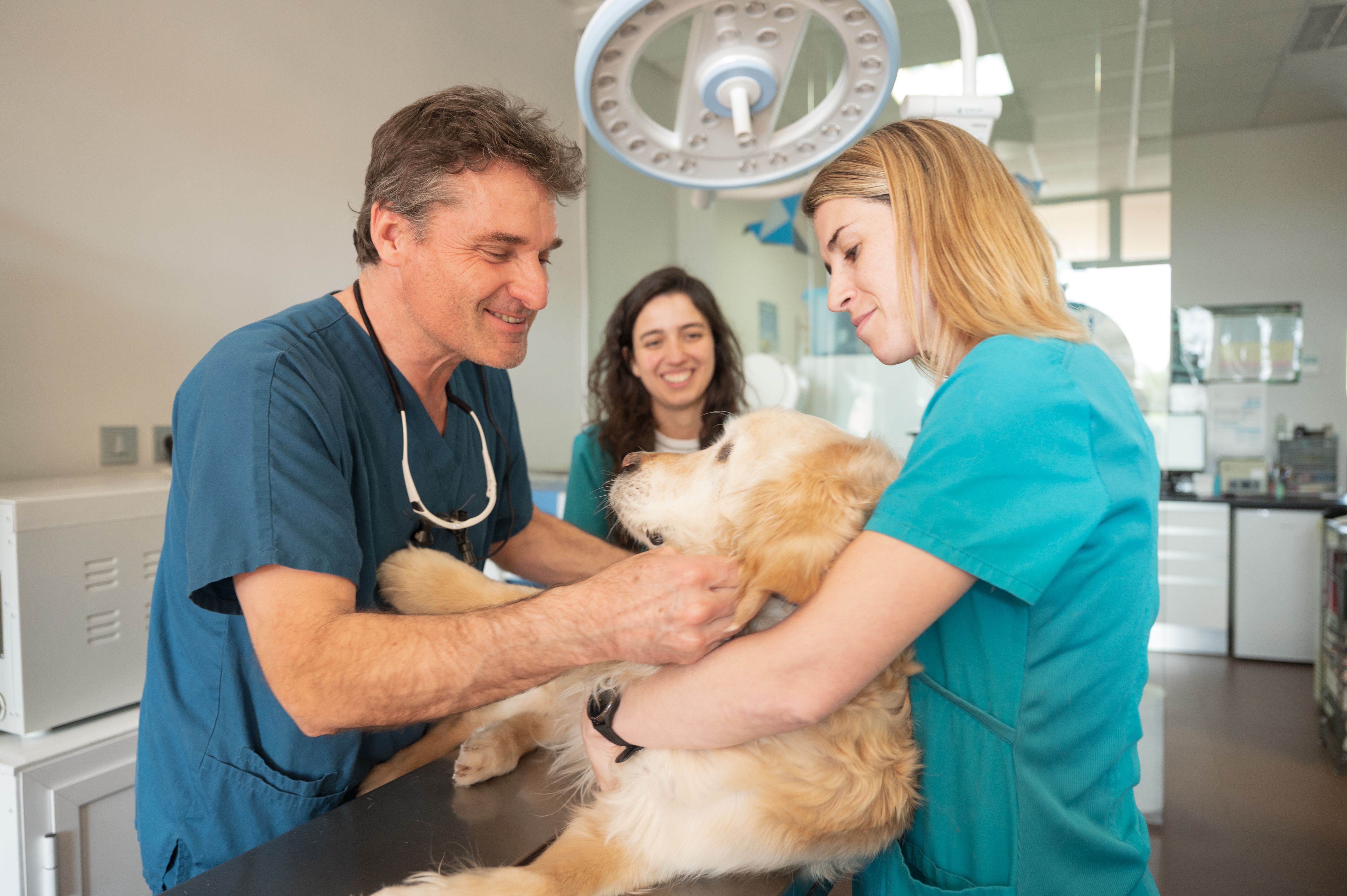 vet clinic