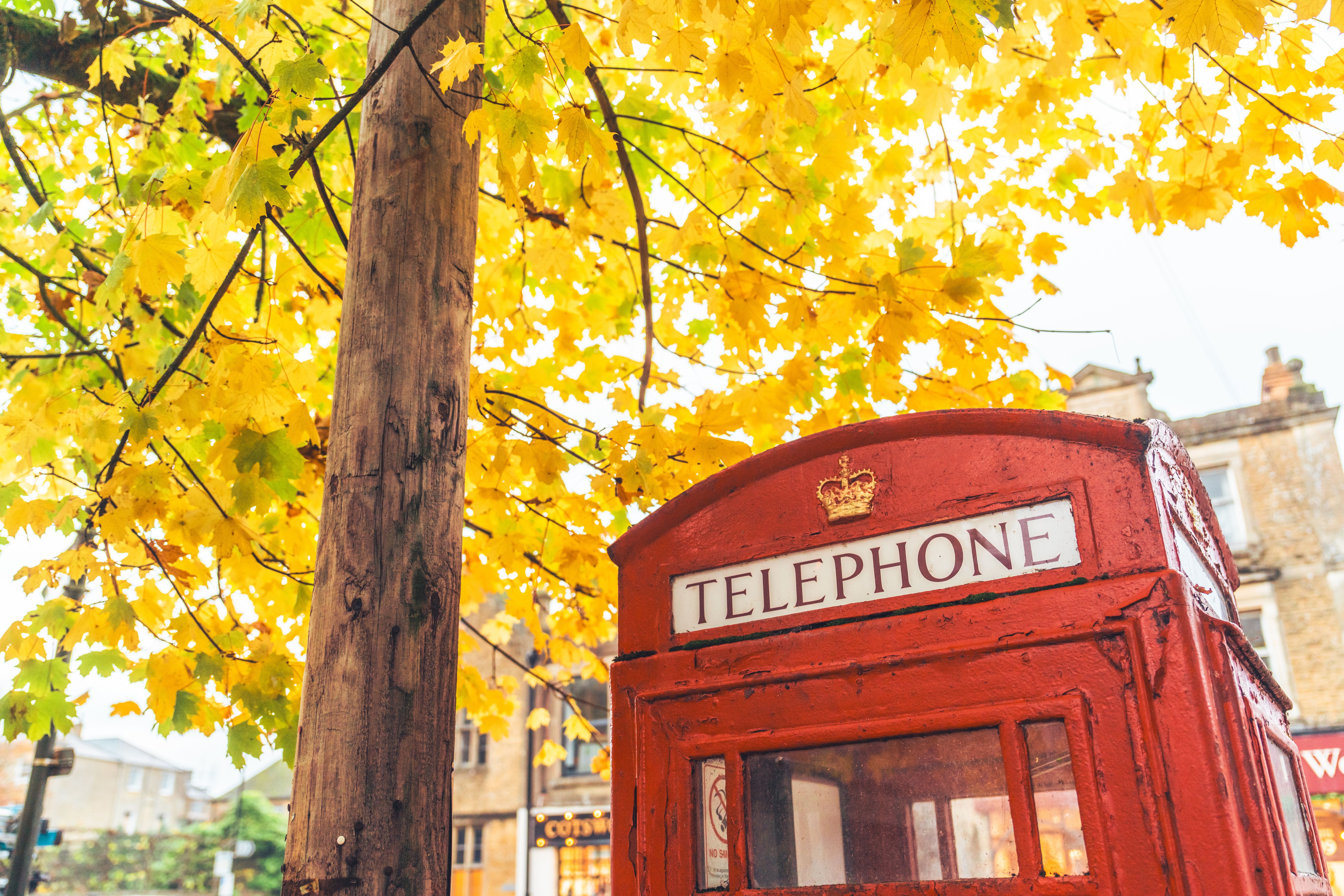 London autumn leaves