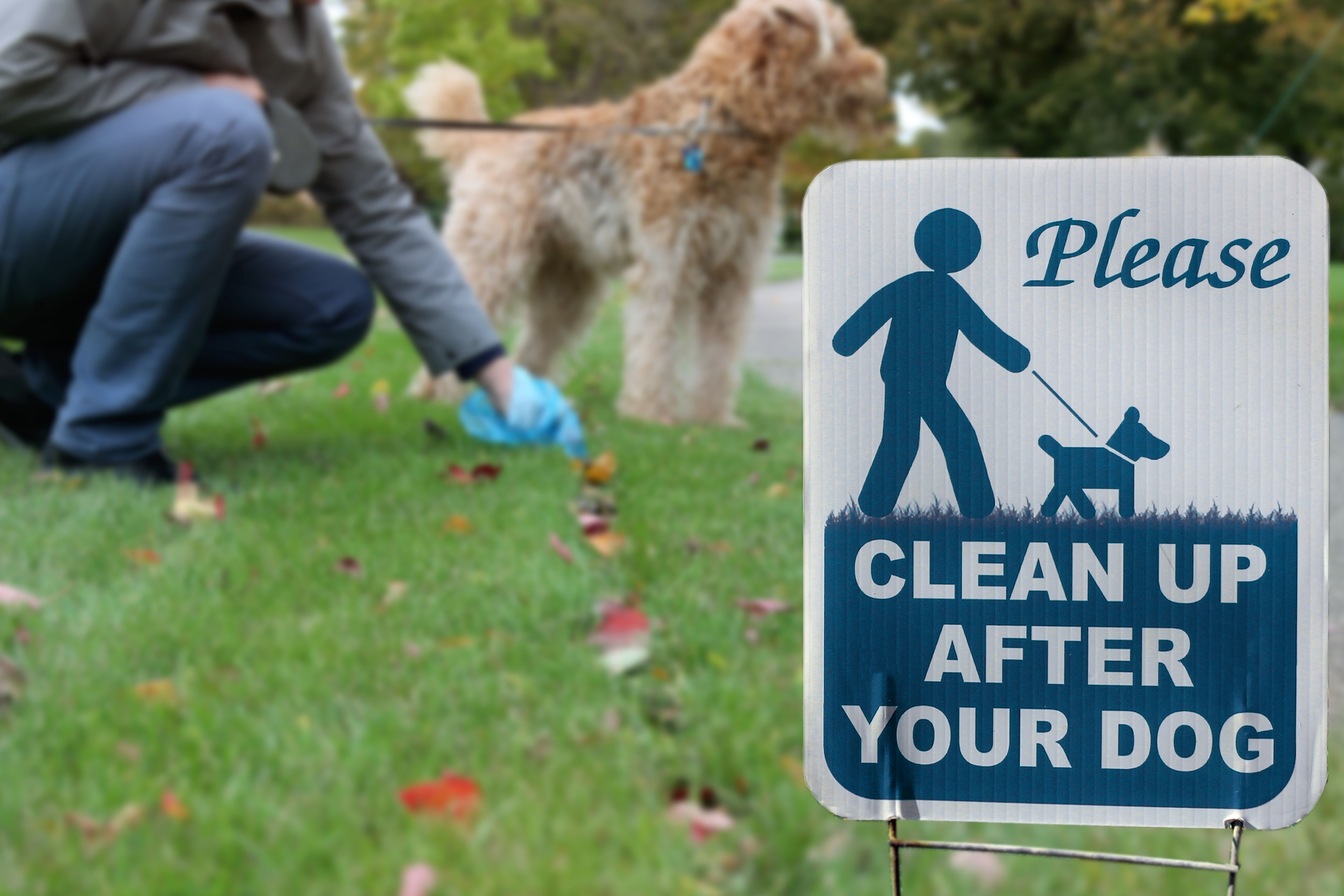 The warning sign: Clean up after your dog. The warning sign: Clean up after your dog.