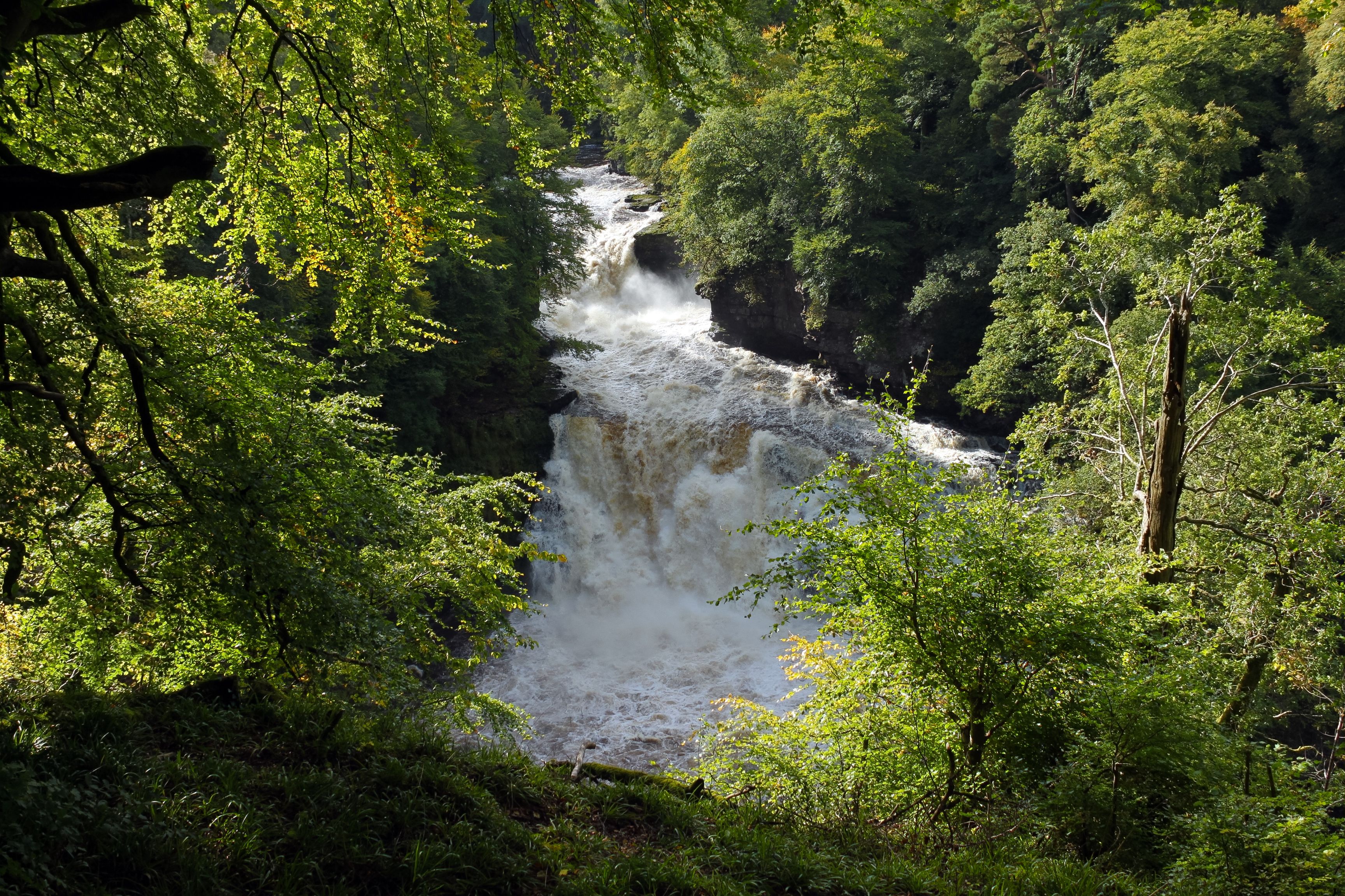 falls of clyde