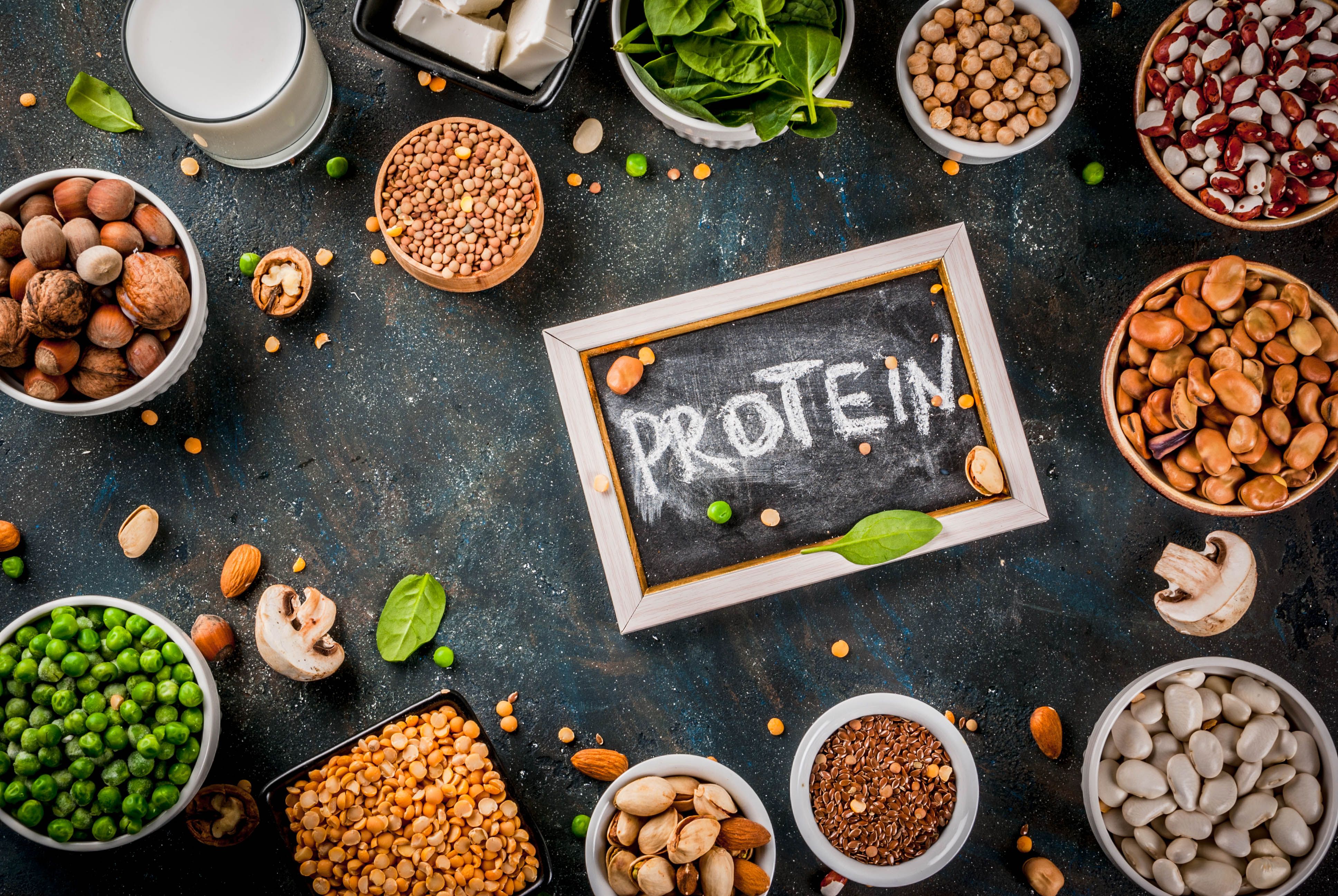 protein alternatives