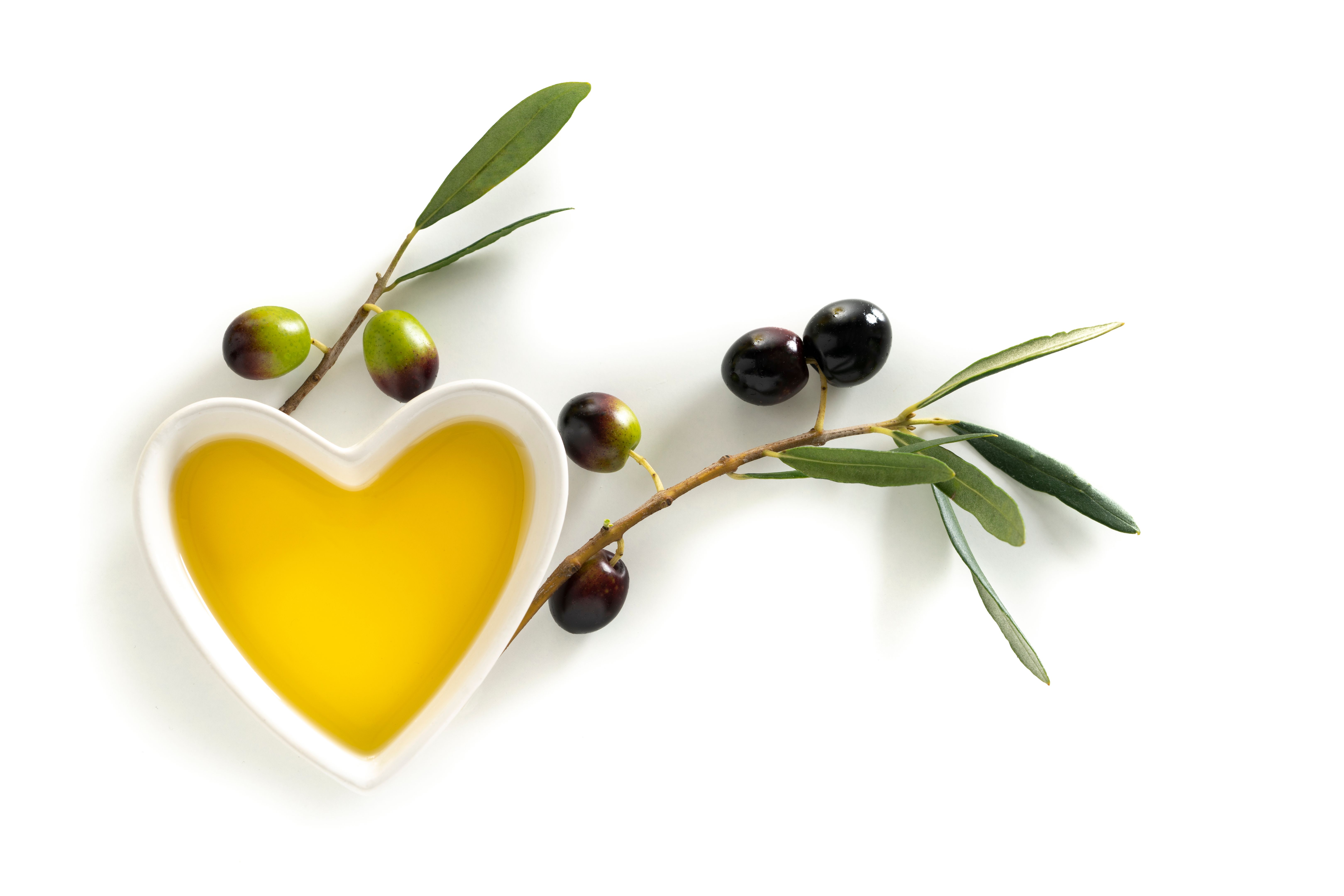 olive tree care