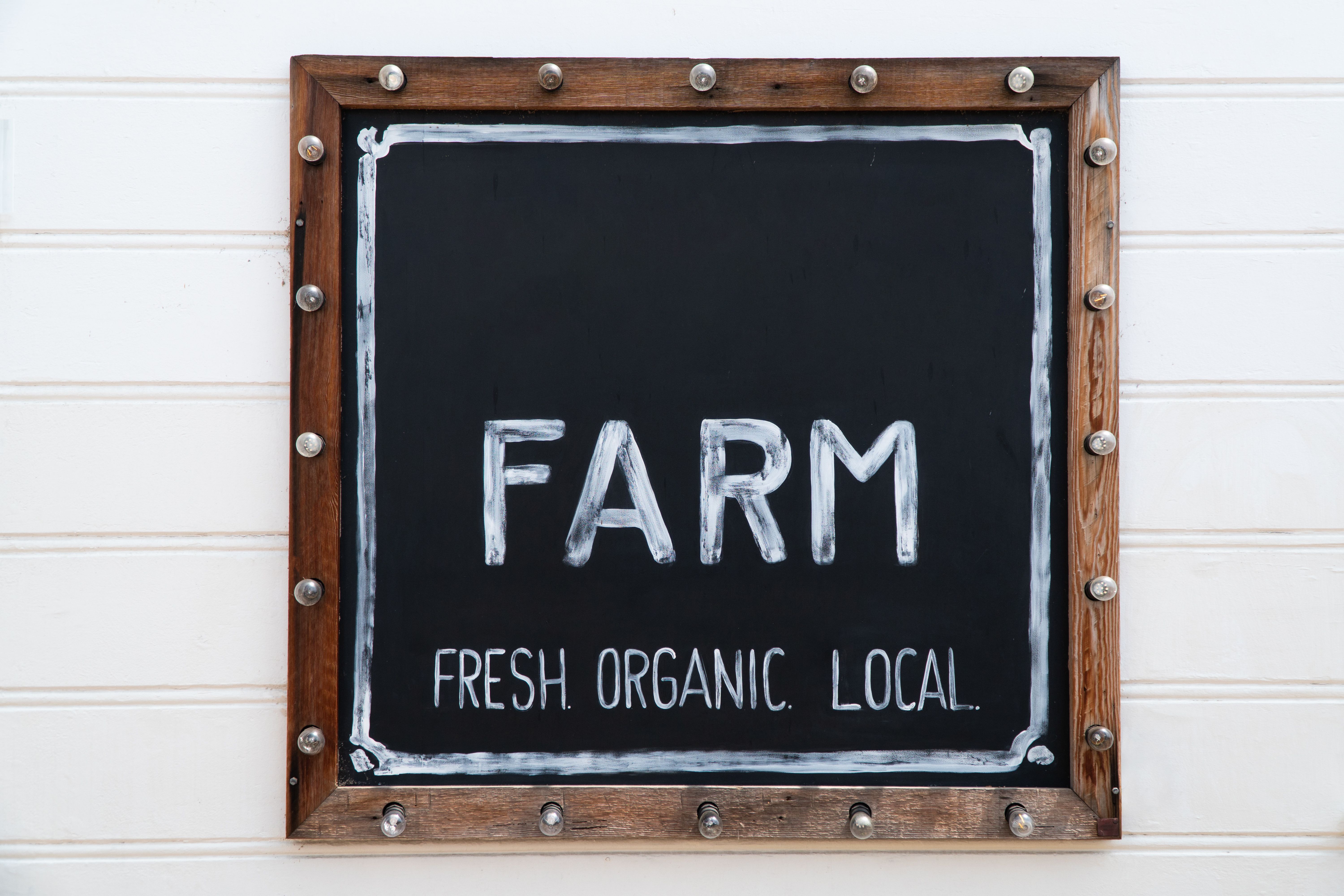 local farm fresh menu