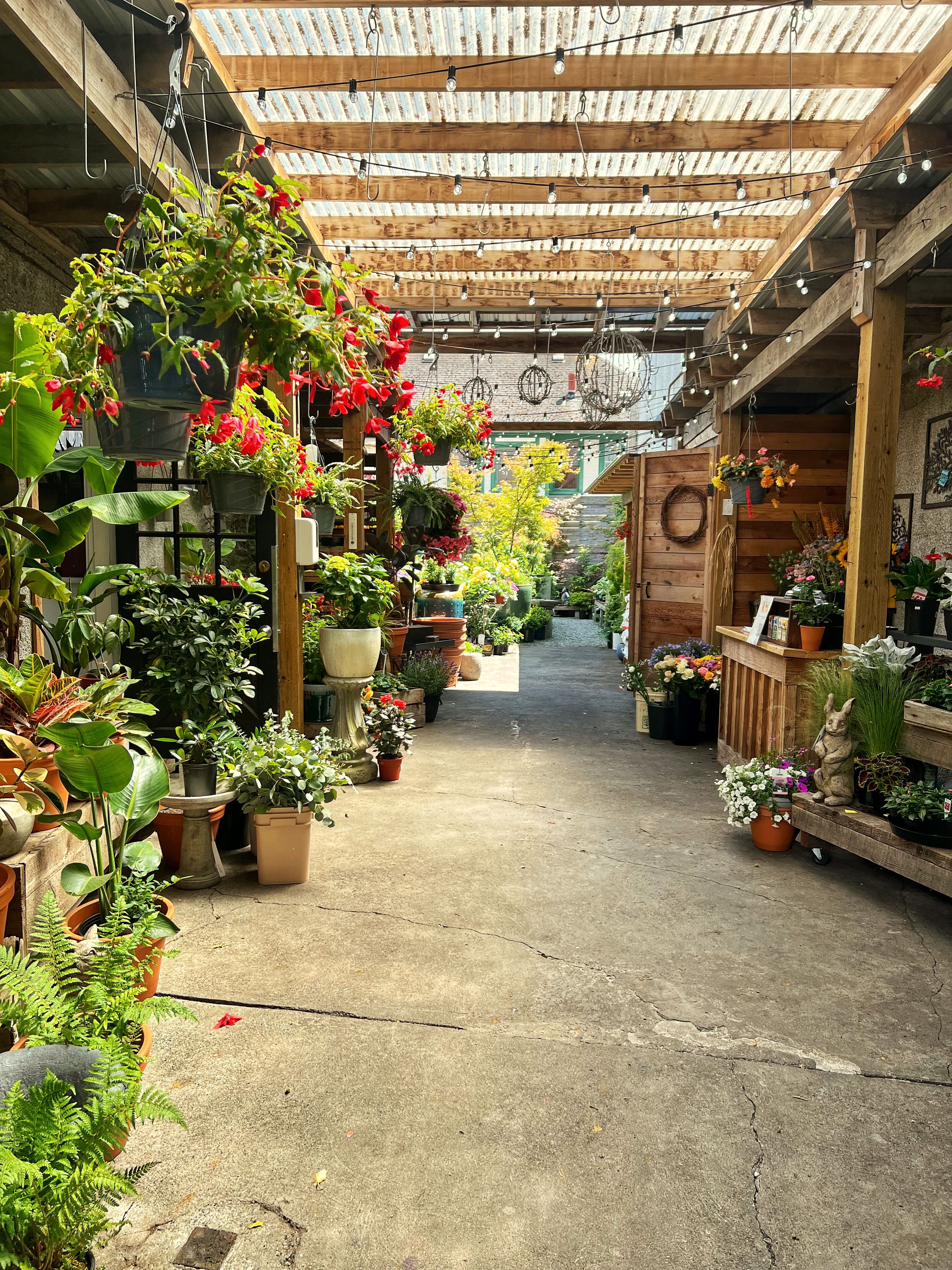 spring sale