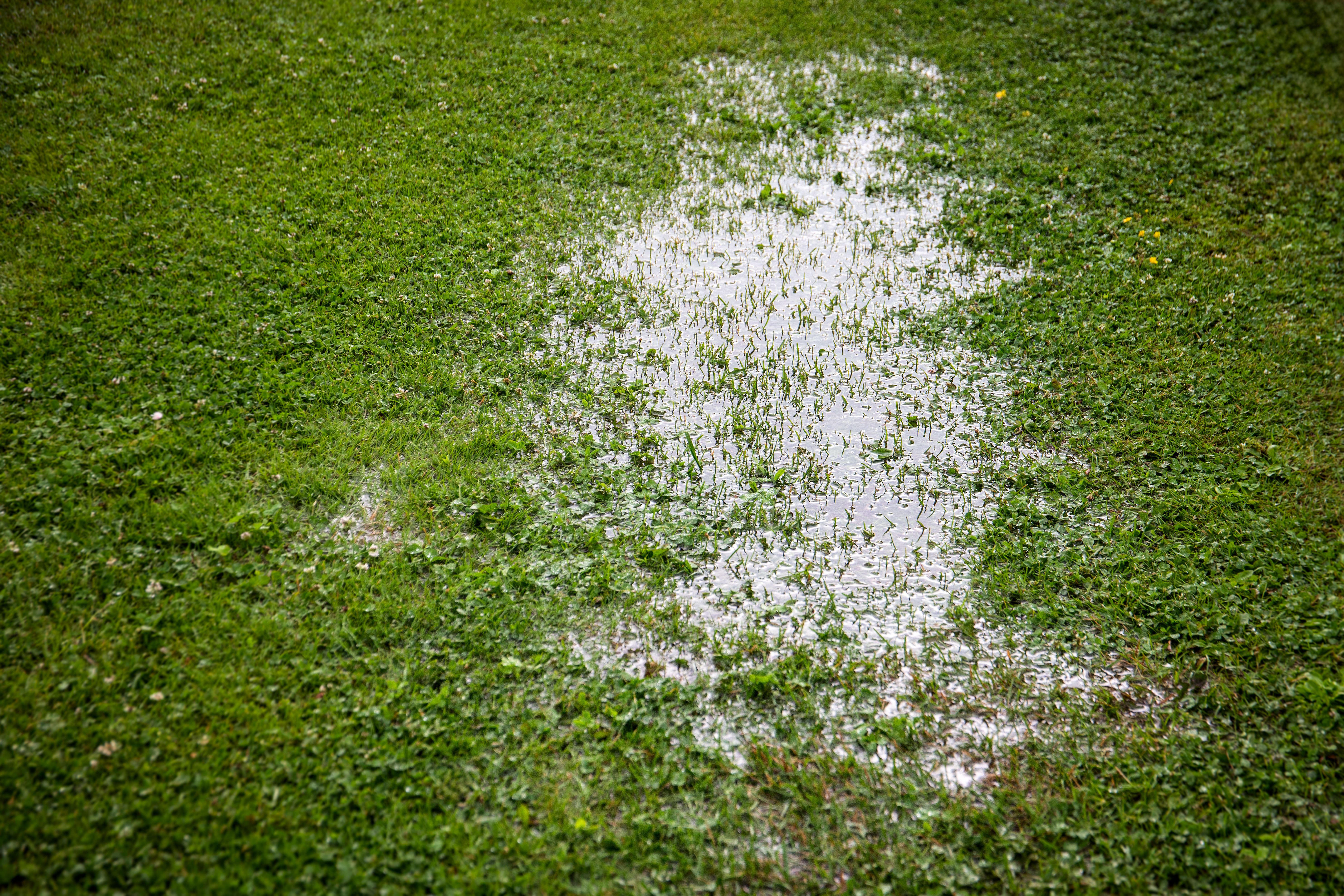 yard flooding