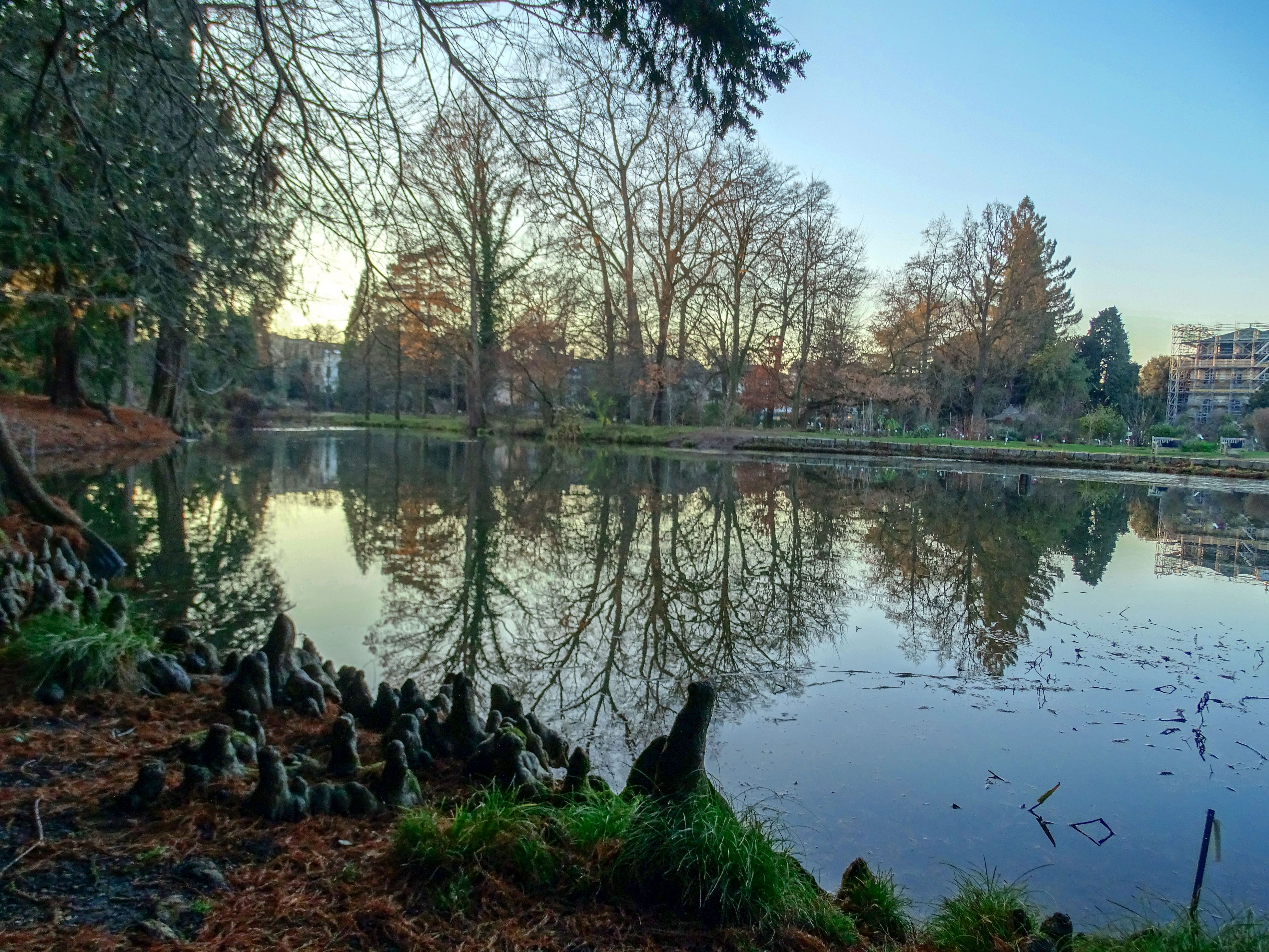 Bonn Botanic Gardens