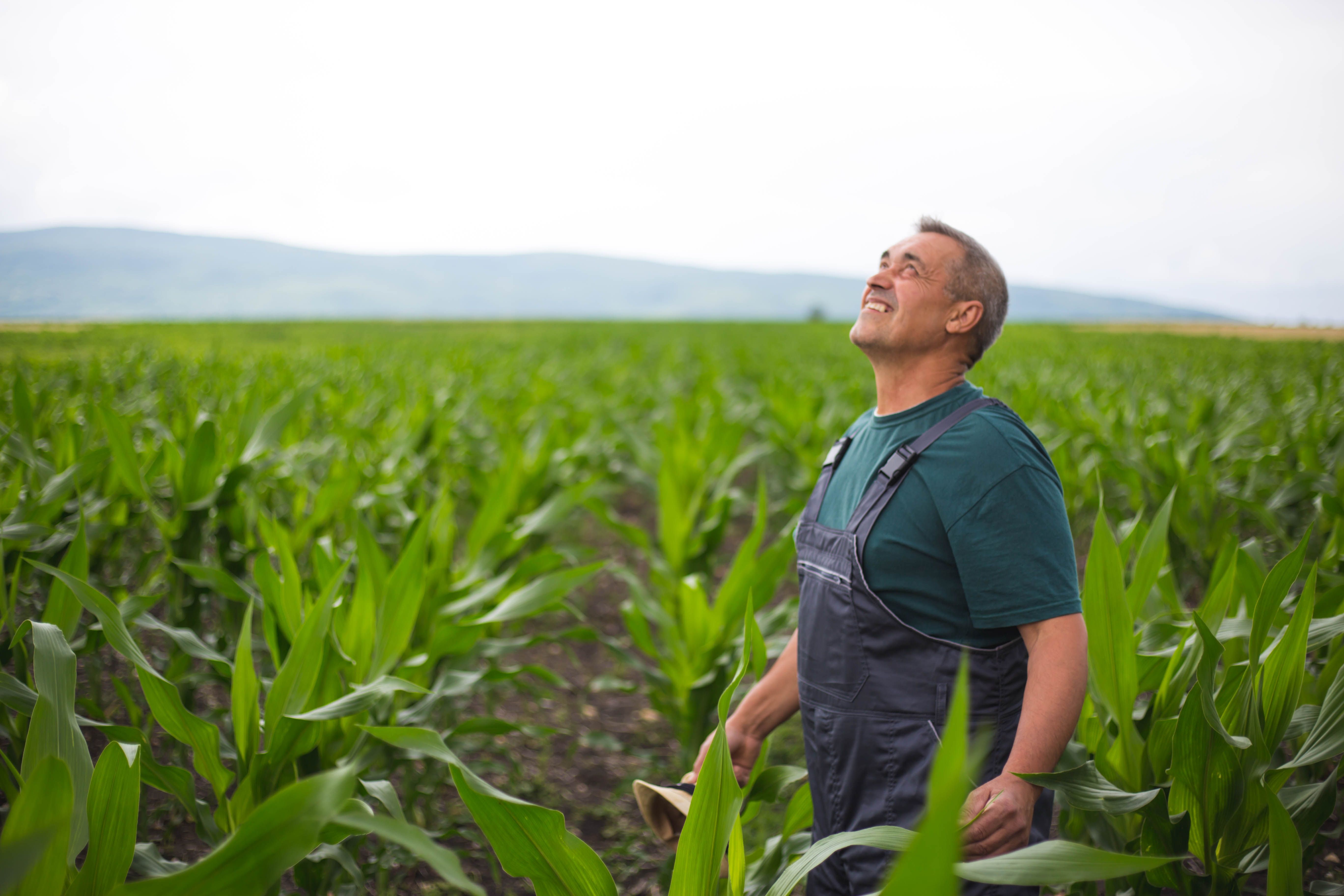 farming weather