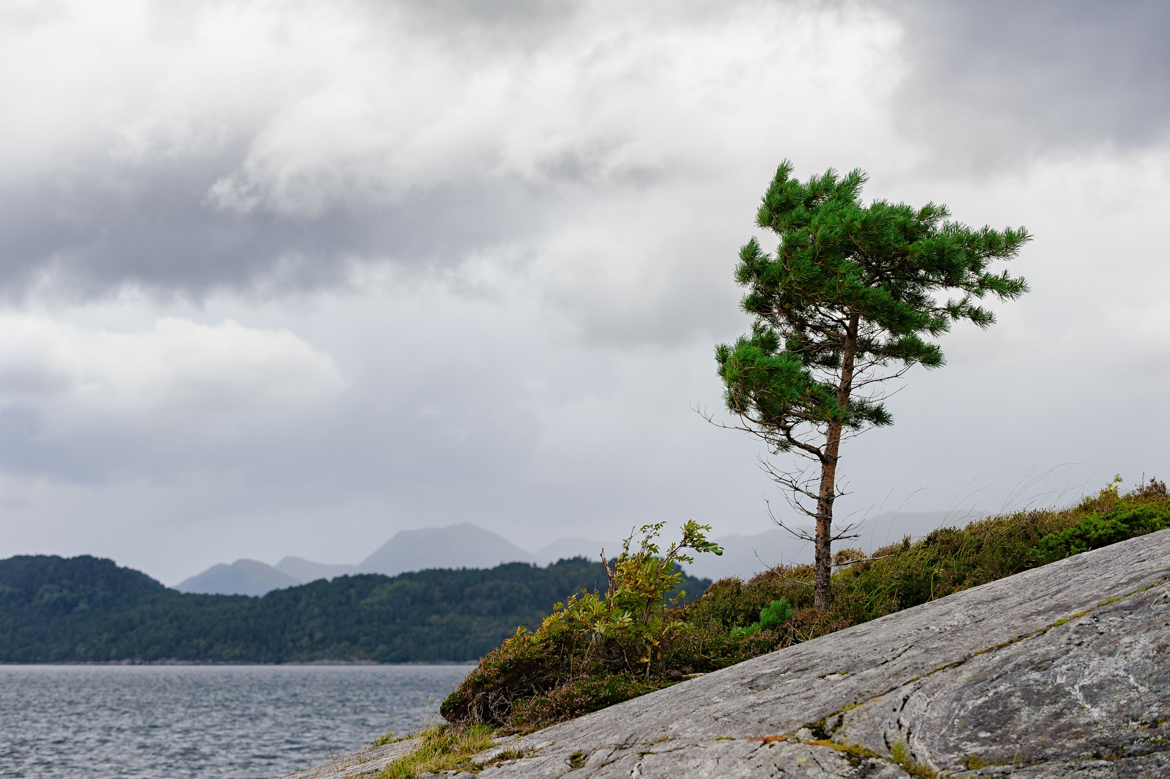 coastal resilience