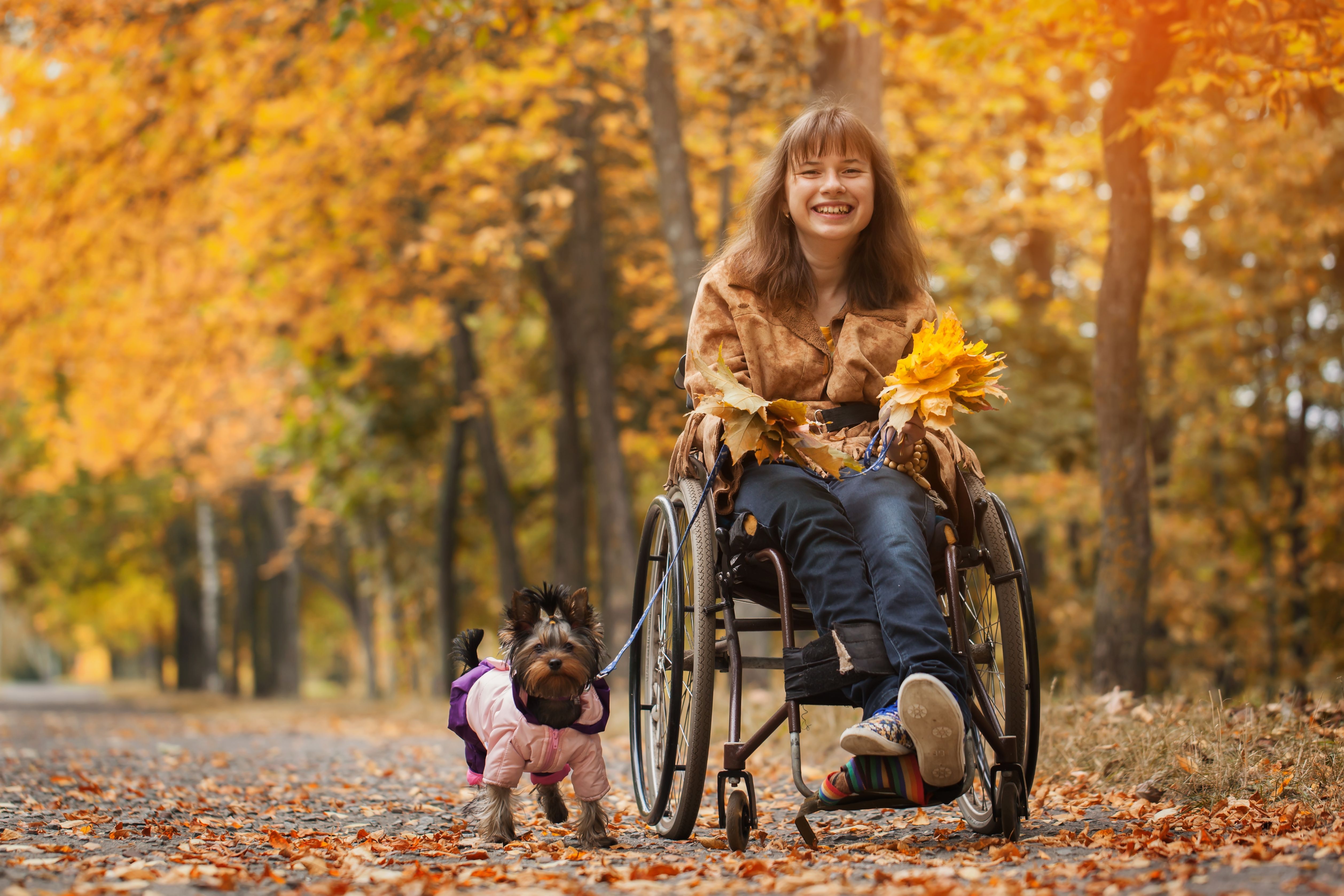 wheelchair autumn