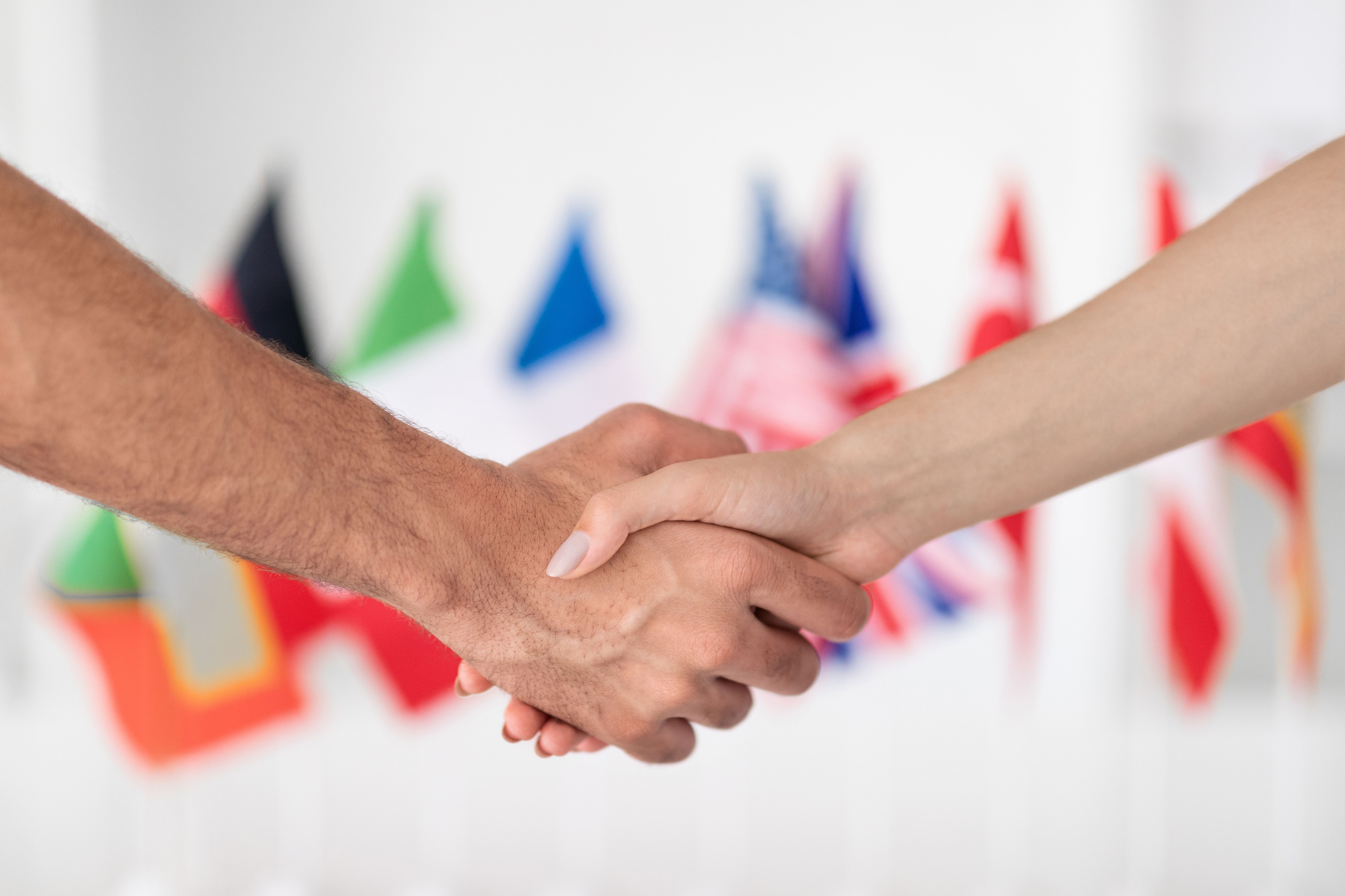 citizenship investment