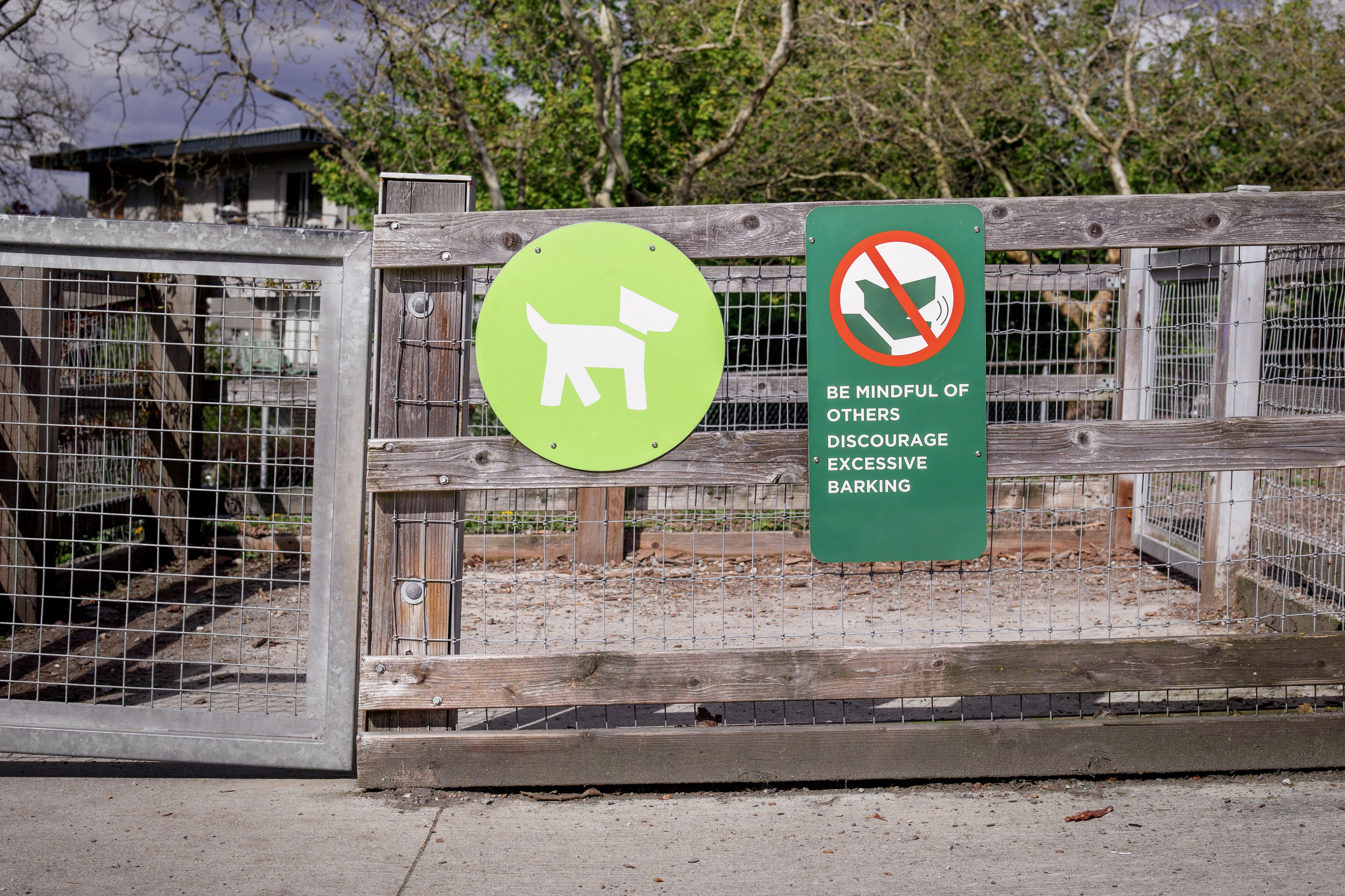 pet care instructions