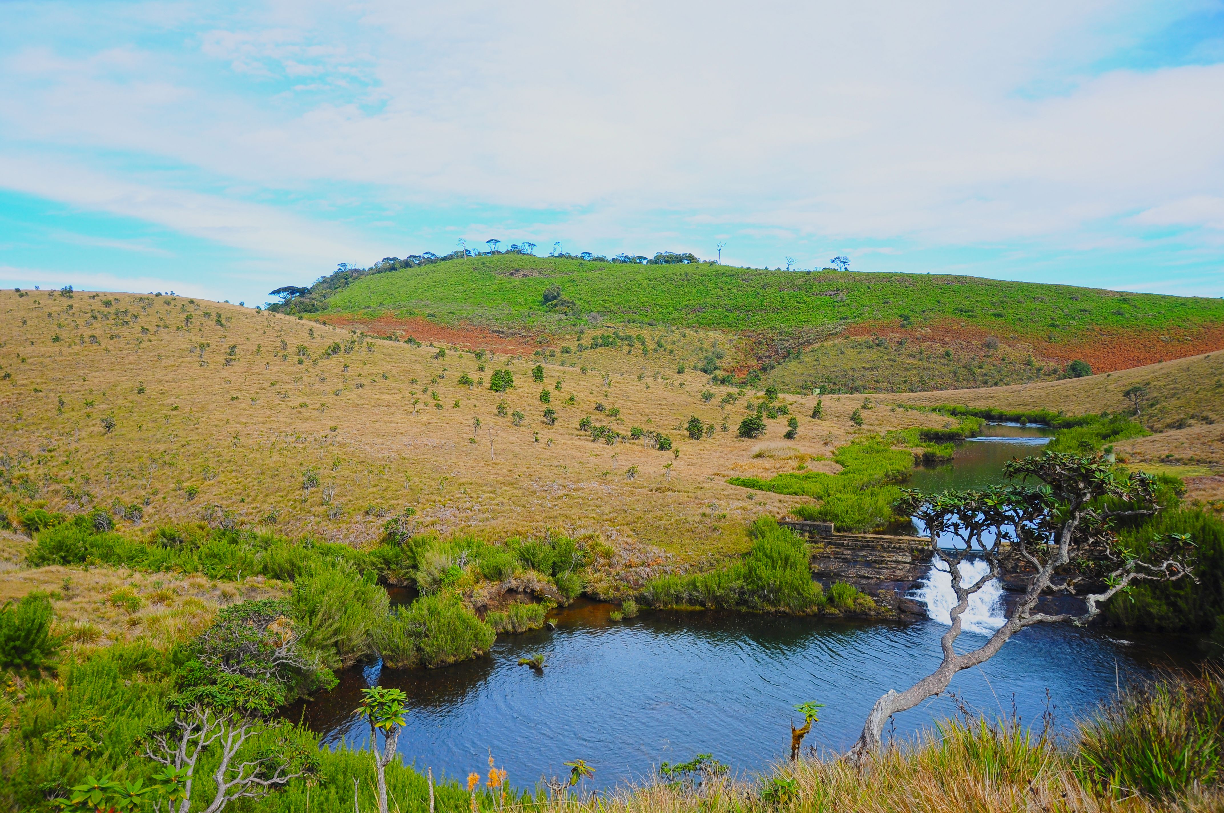 horton plains
