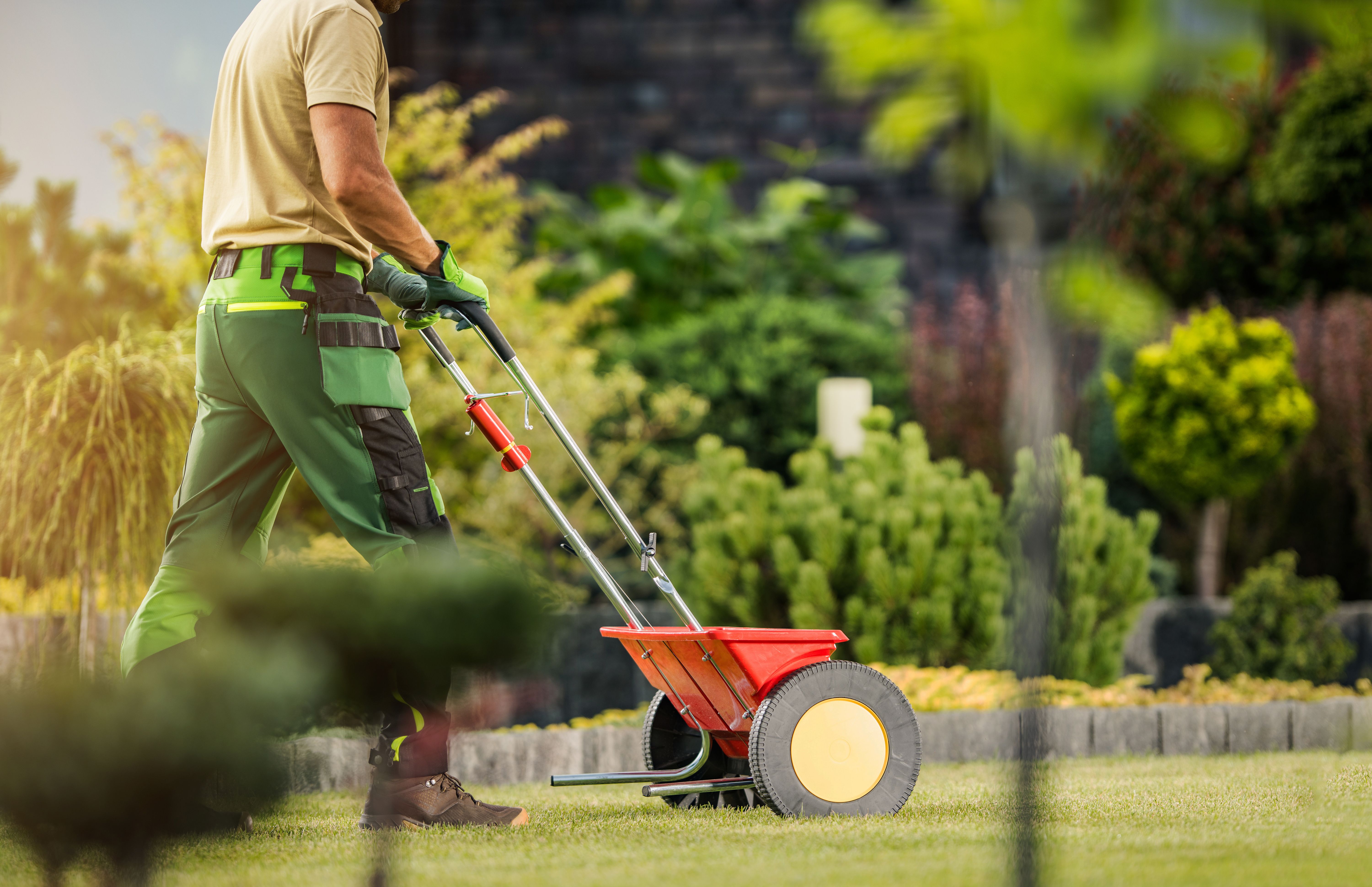 man working on lawn
