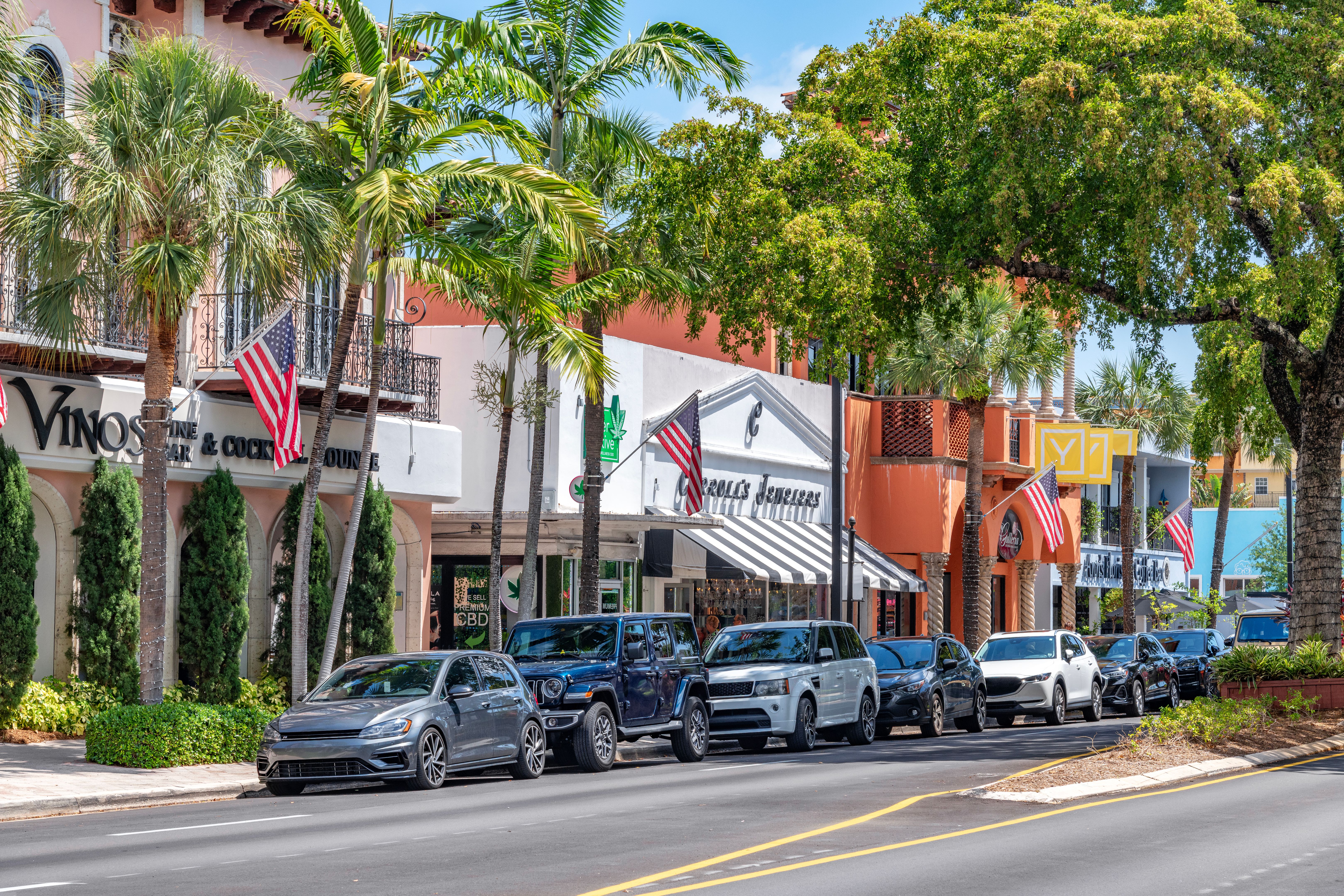 sunny florida shopping