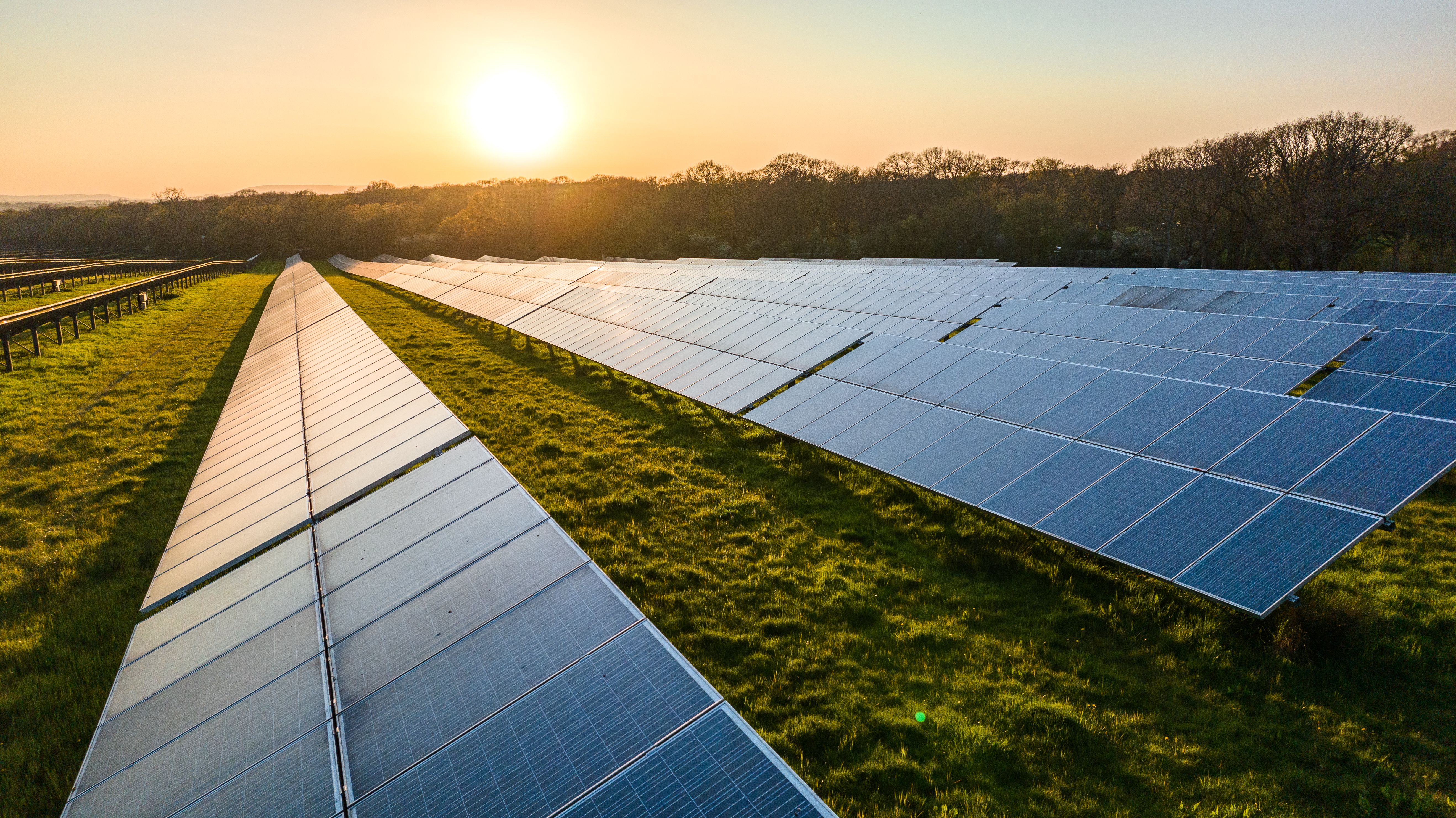 solar panels farm