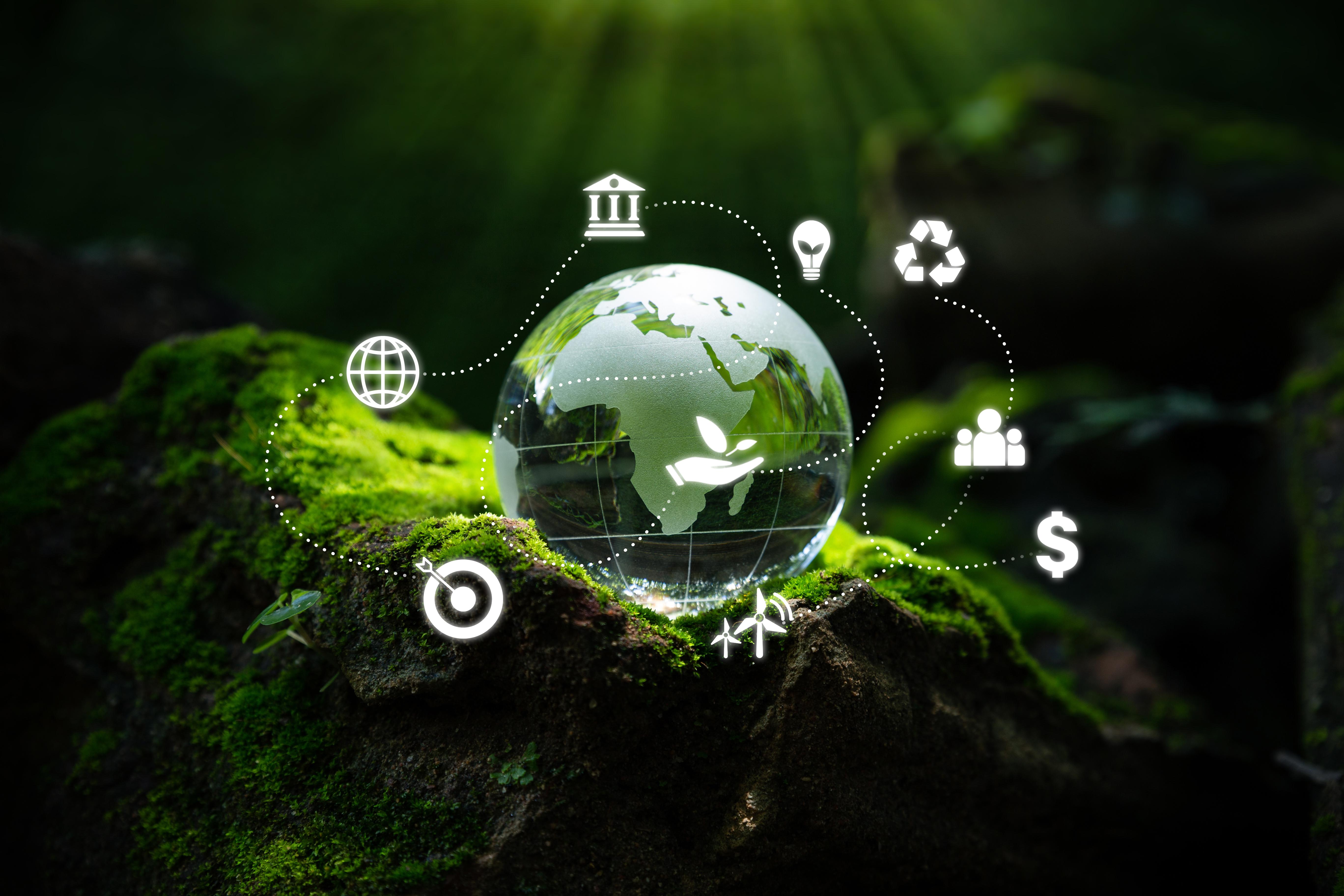 CarbonCX and DATACURVE Announce Development Partnership for Sustainability