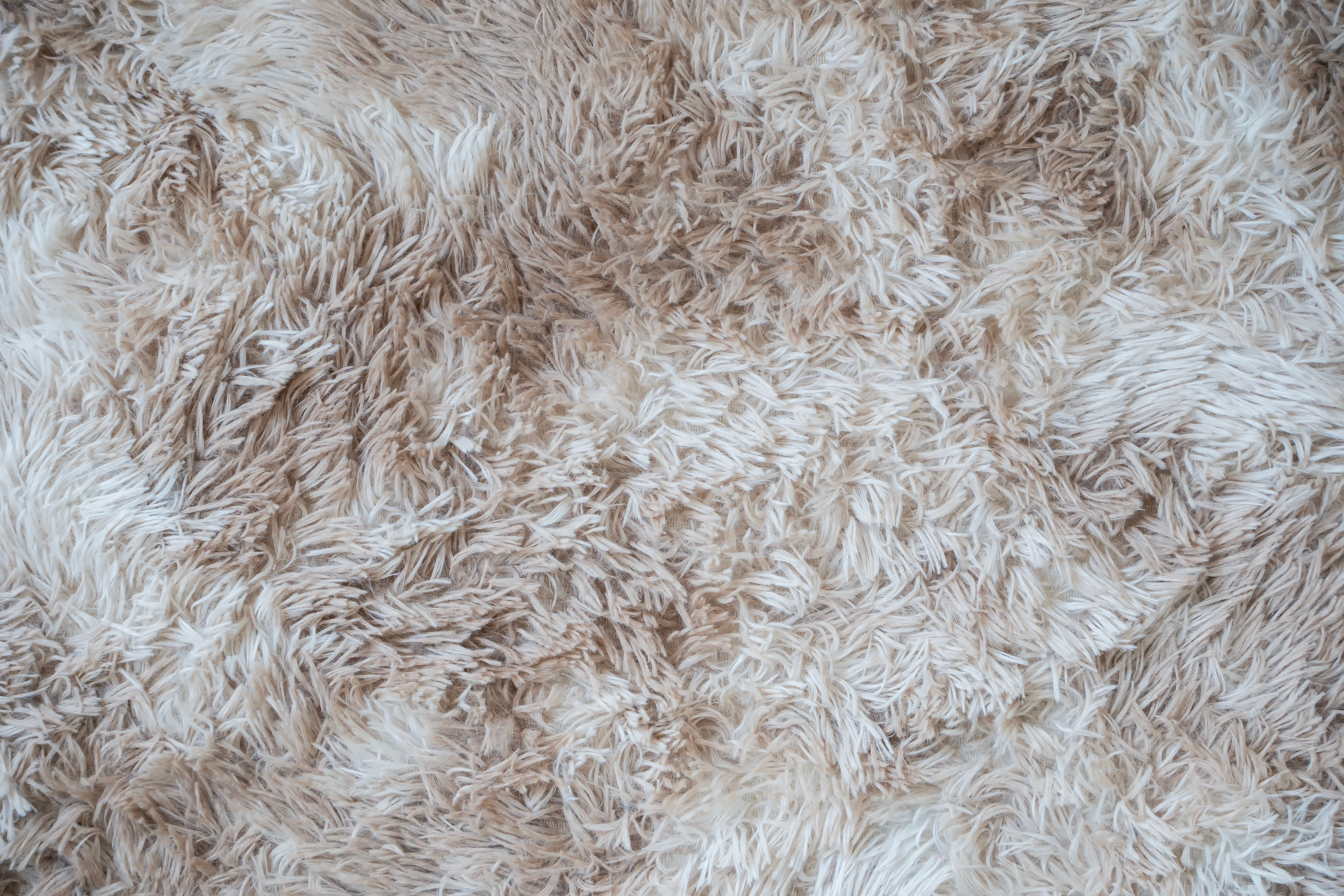 carpet fibers