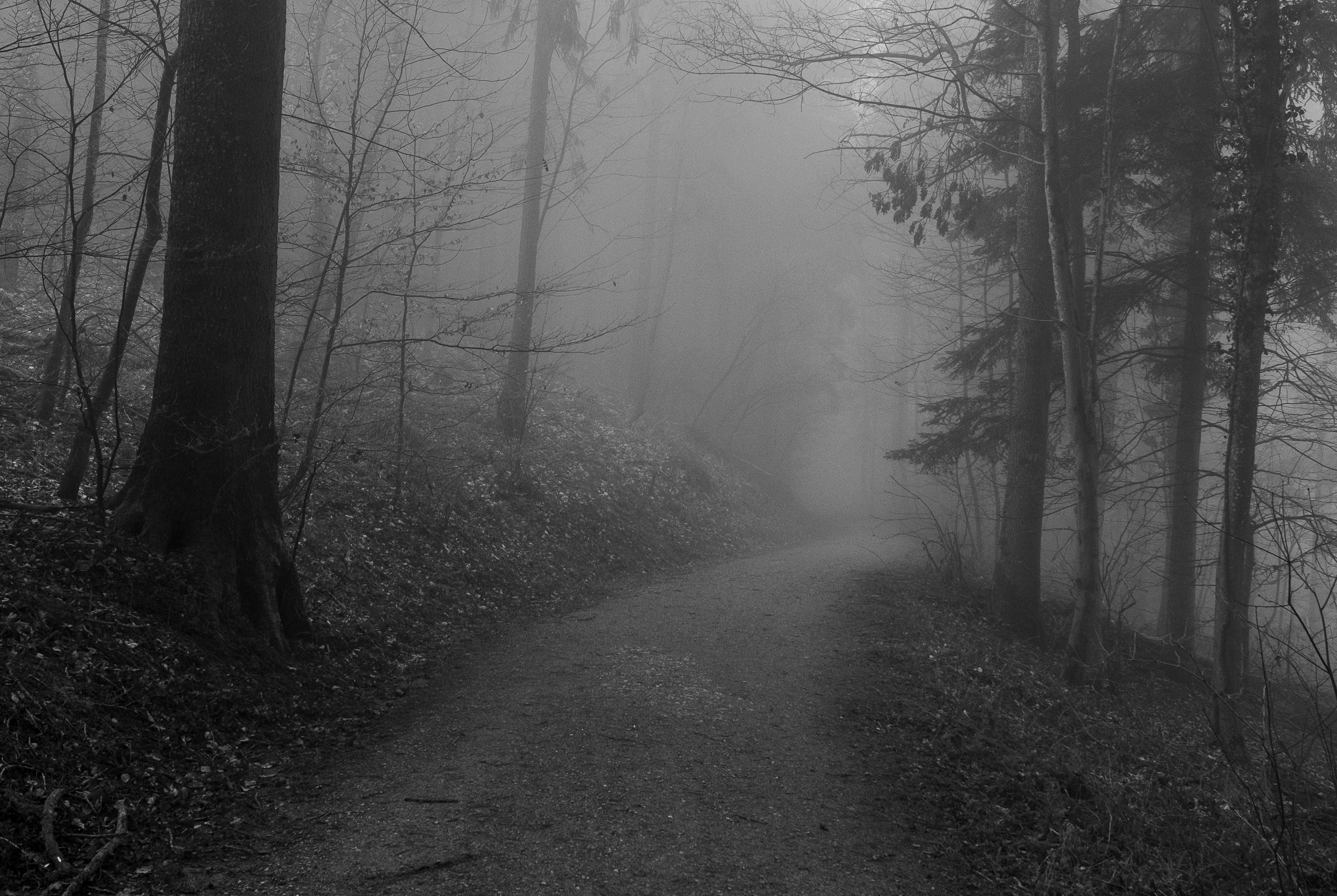 scenic trails