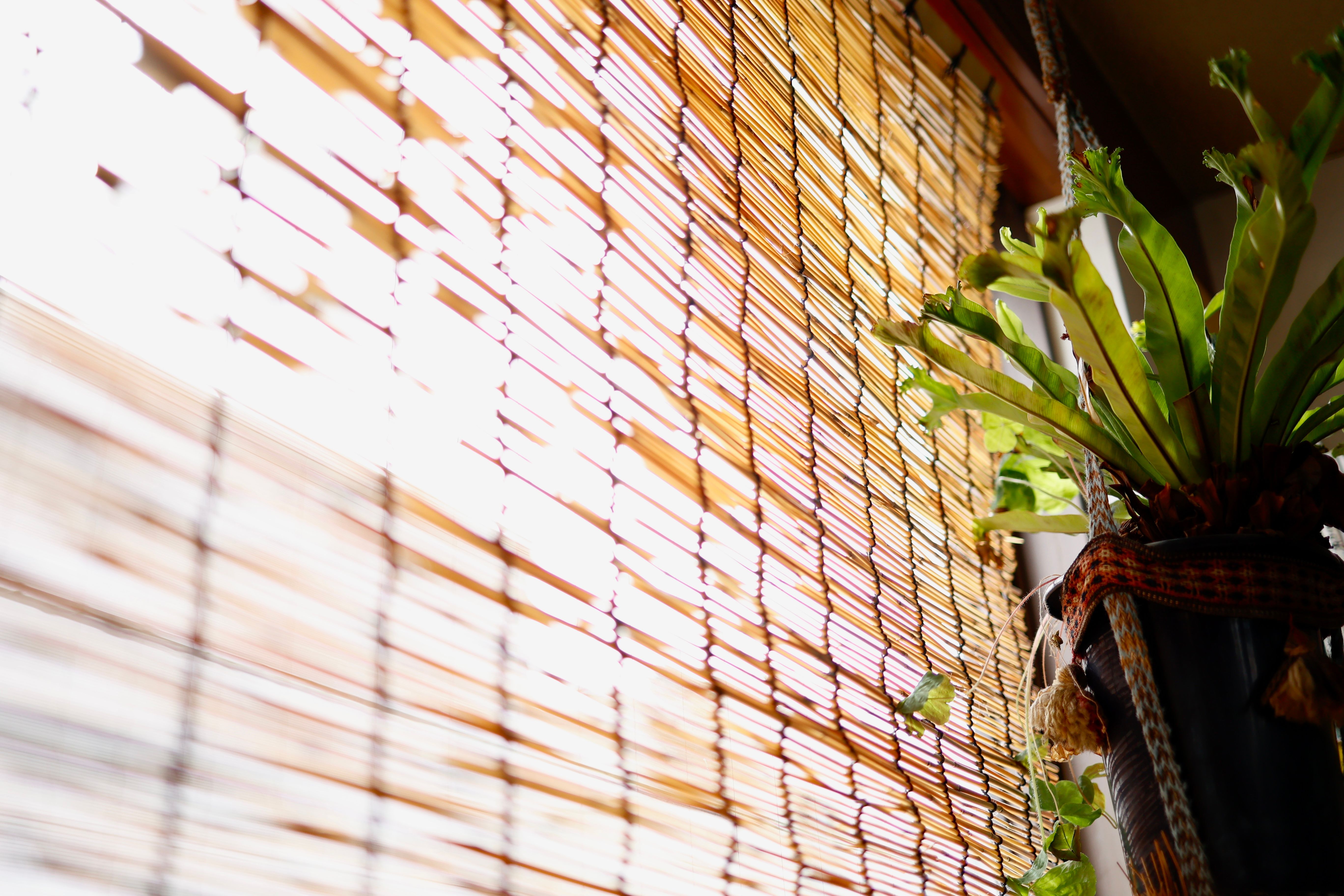 window sun protection