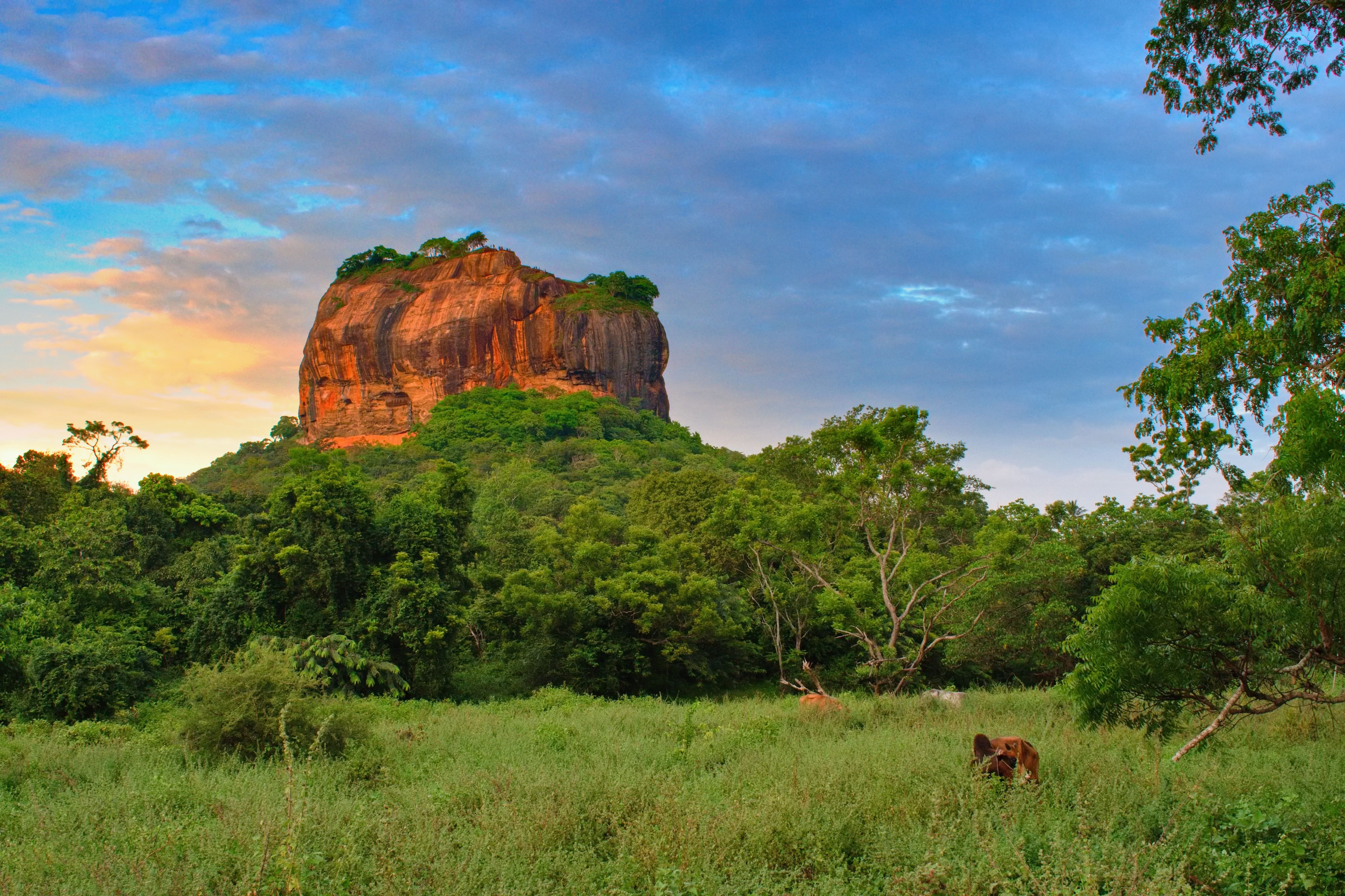 sigiriya rock
