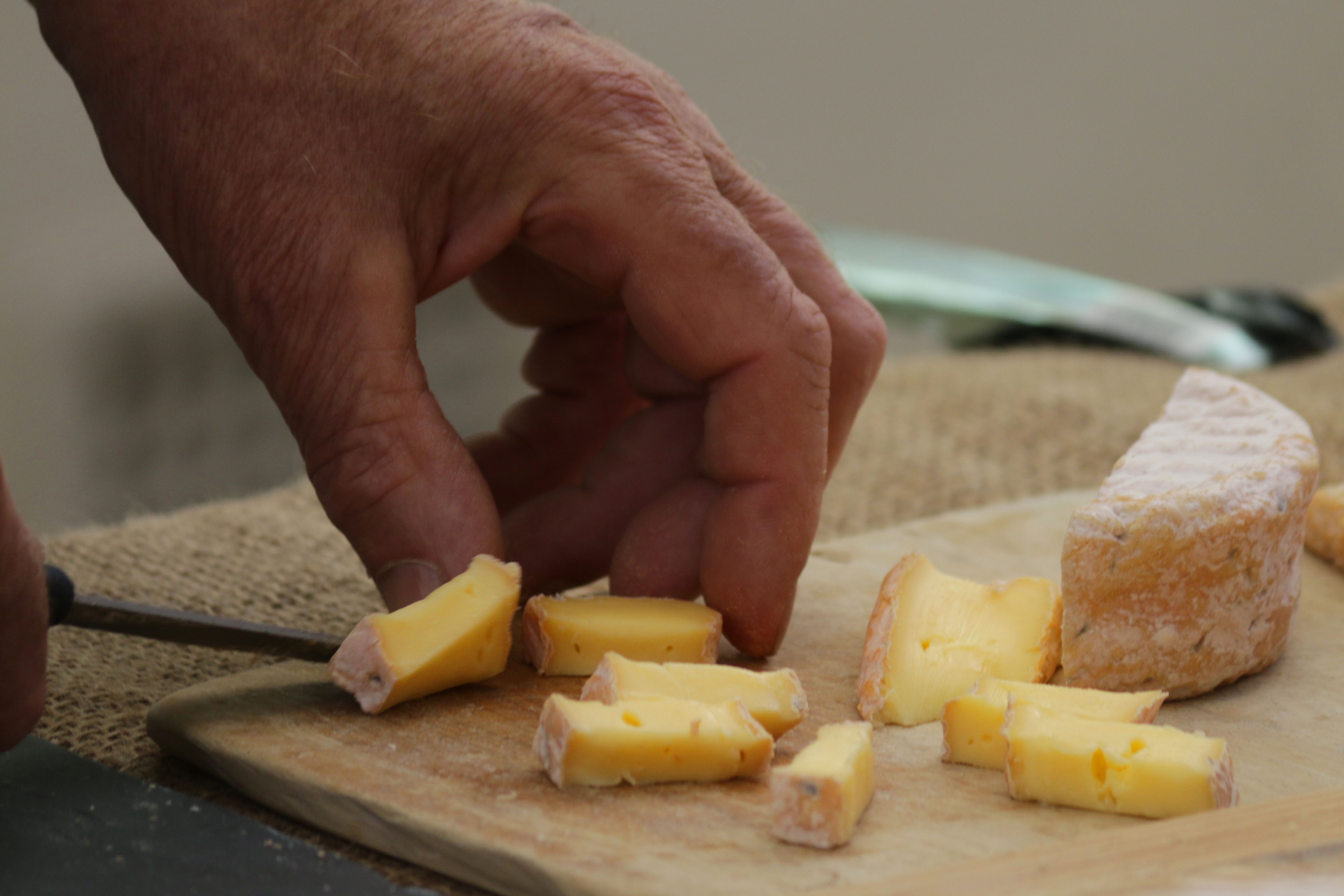 cheese tasting