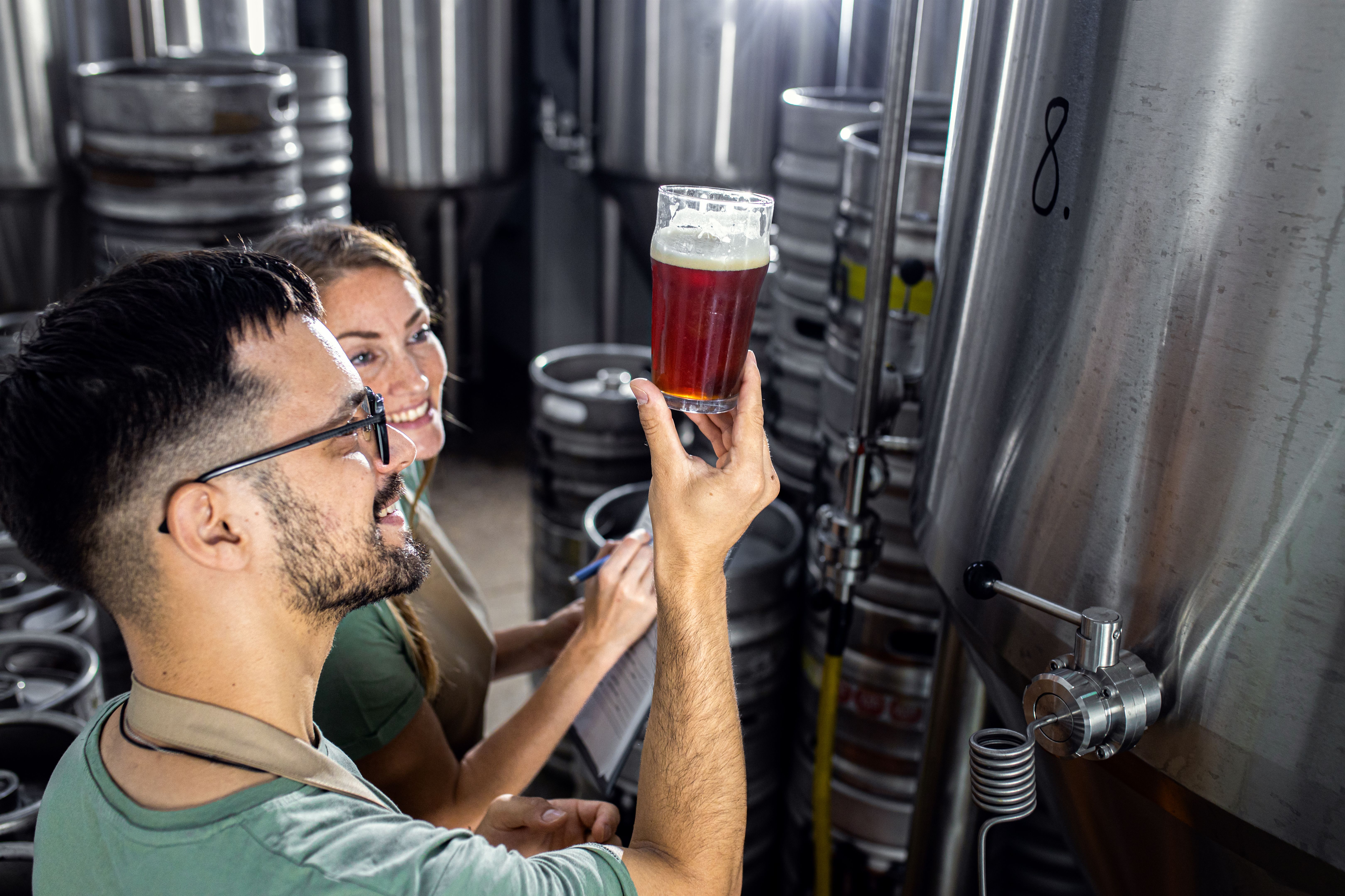 Man and woman working in craft brewery examining quality of the beer.