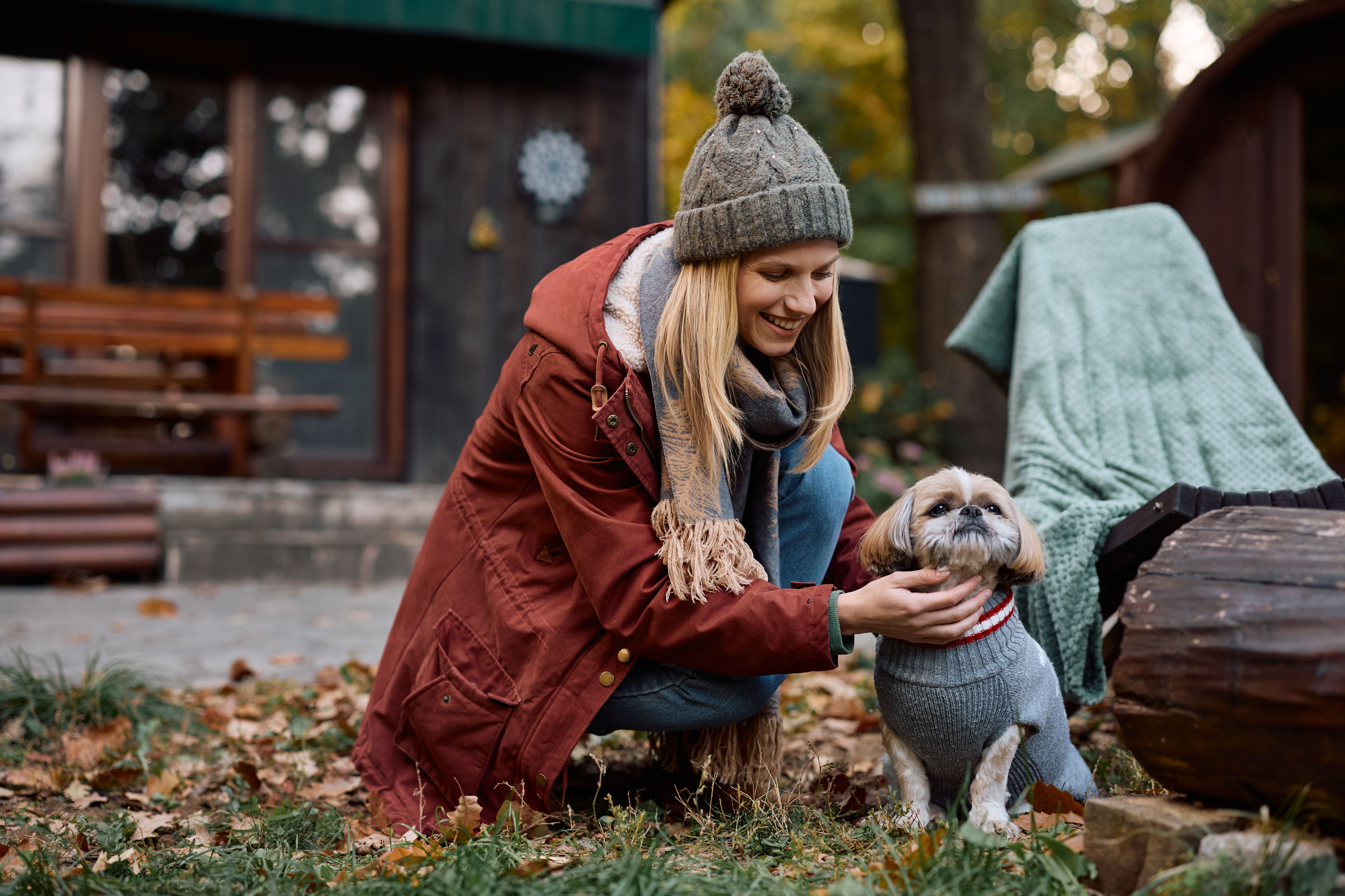 pet seasonal change