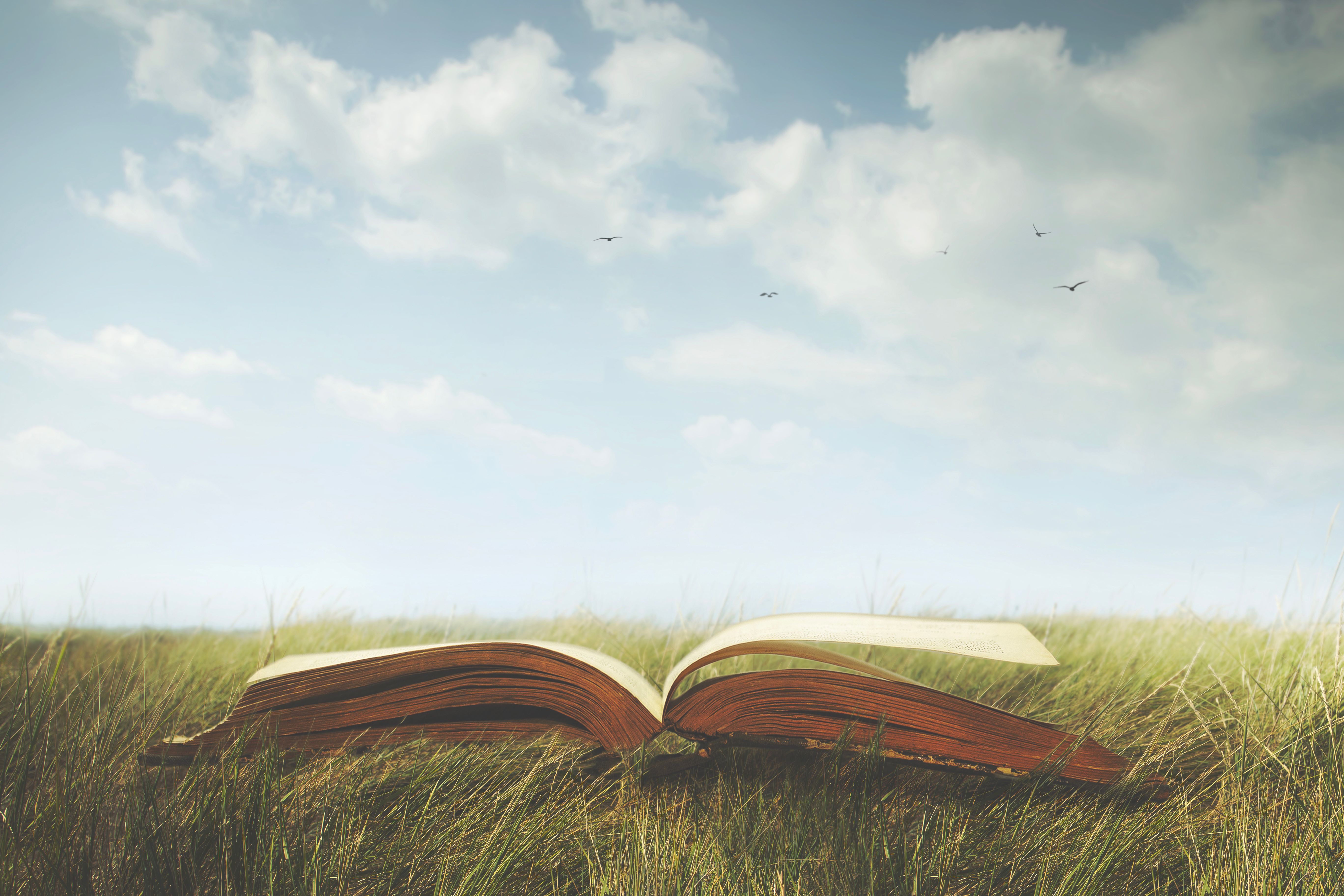 historical fiction books