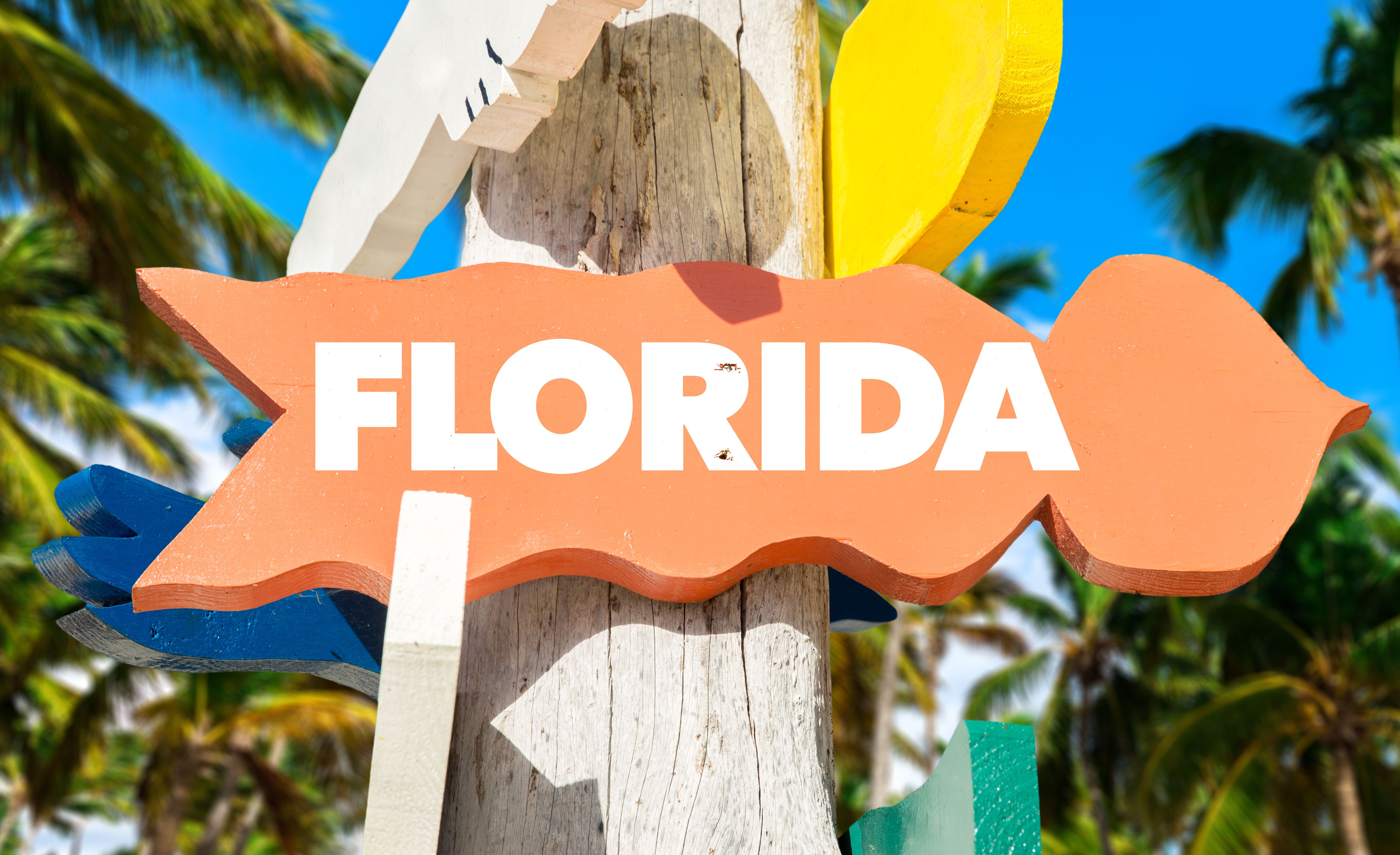 florida tourism