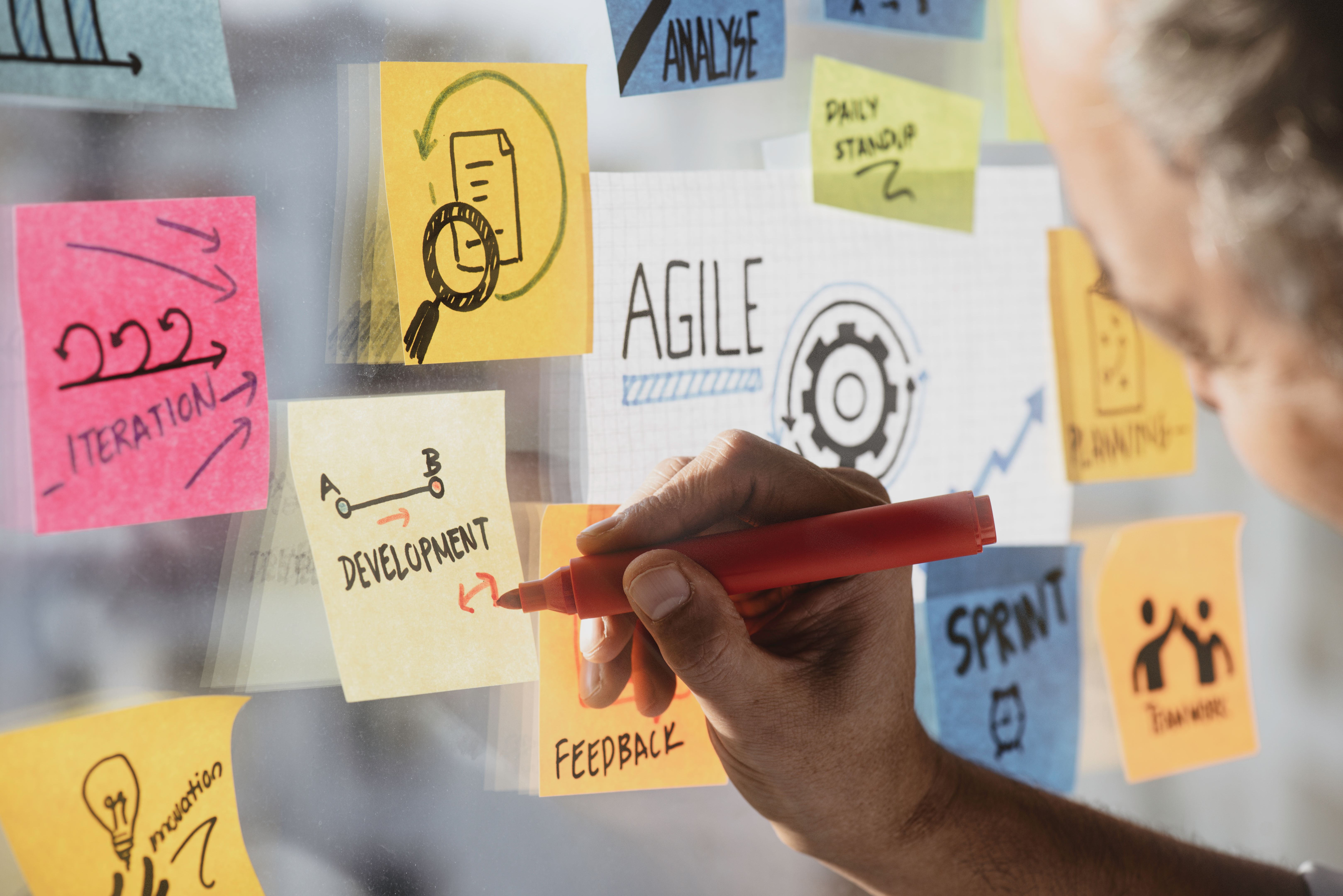 Breaking Down Barriers Between Functional and Technical Consultants on Software Projects