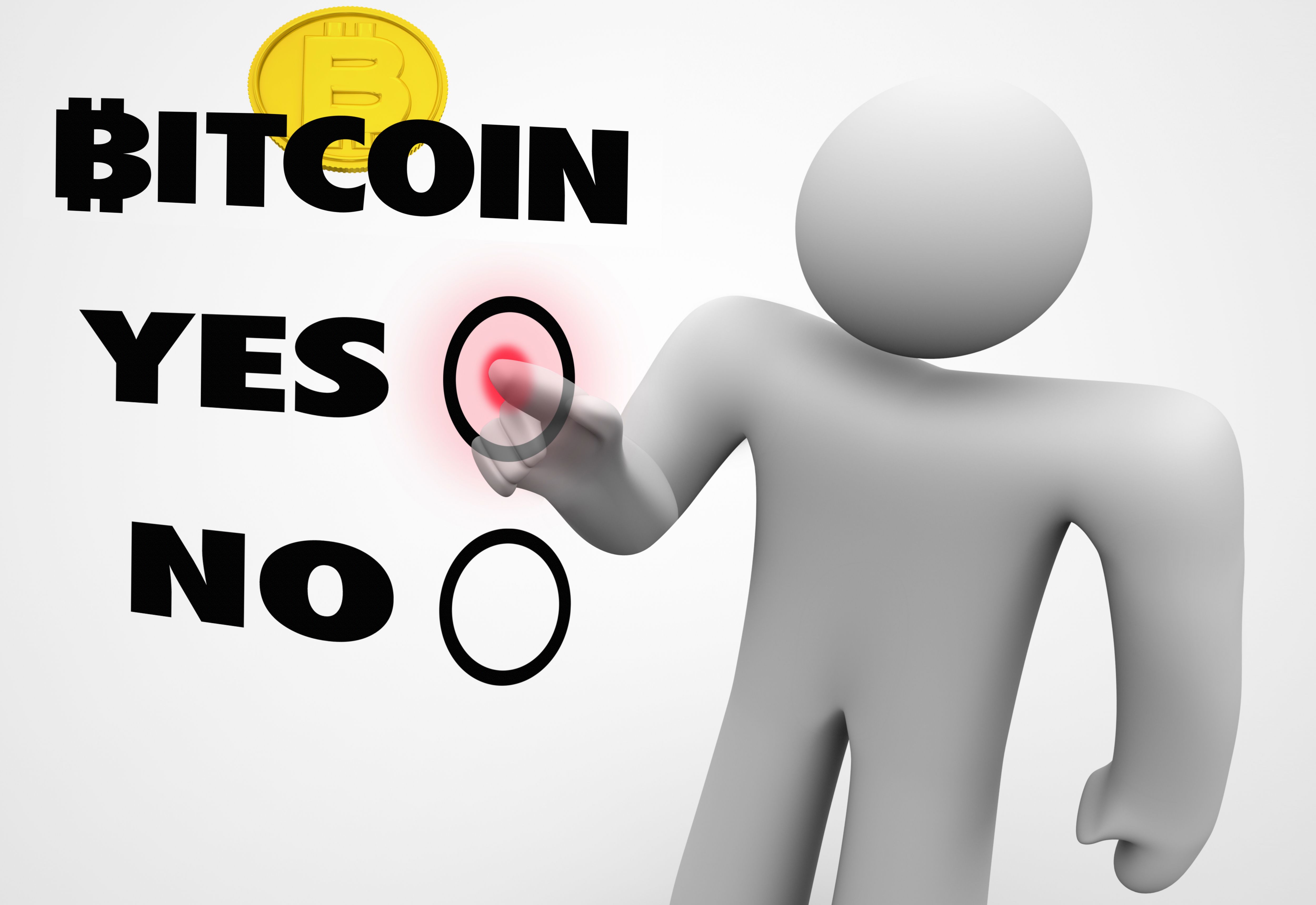 bitcoin voters