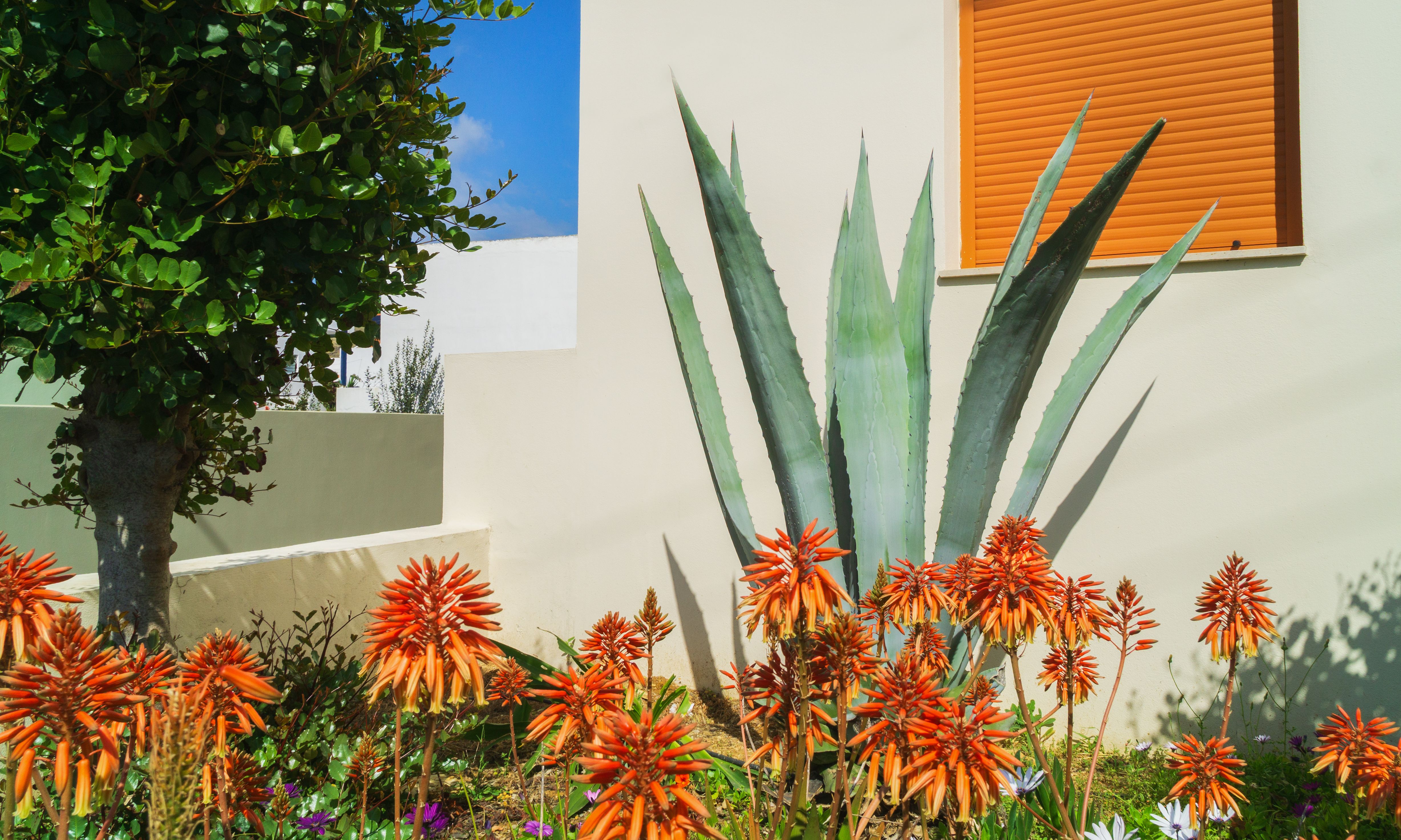 patio transformation