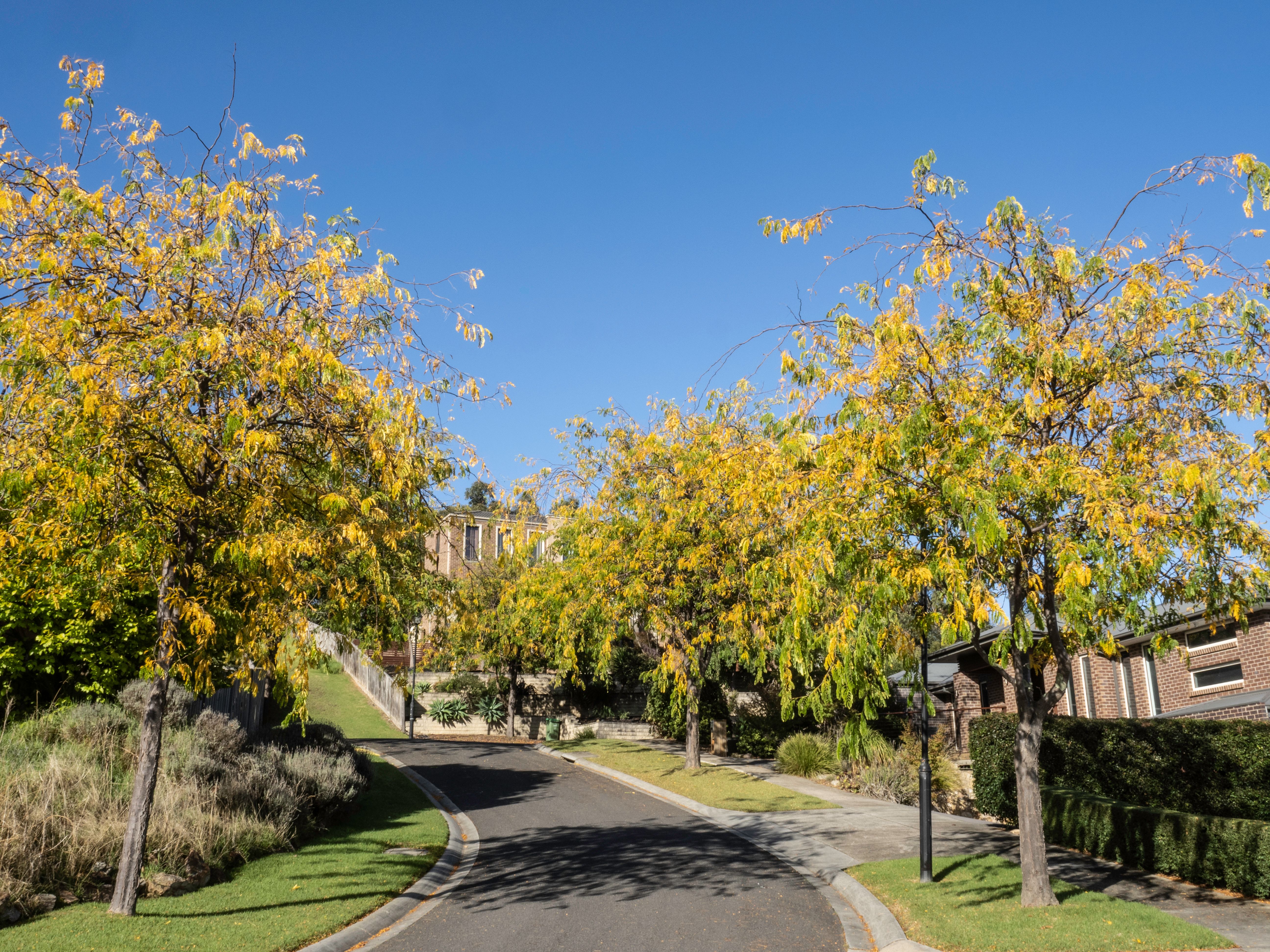 autumn house melbourne