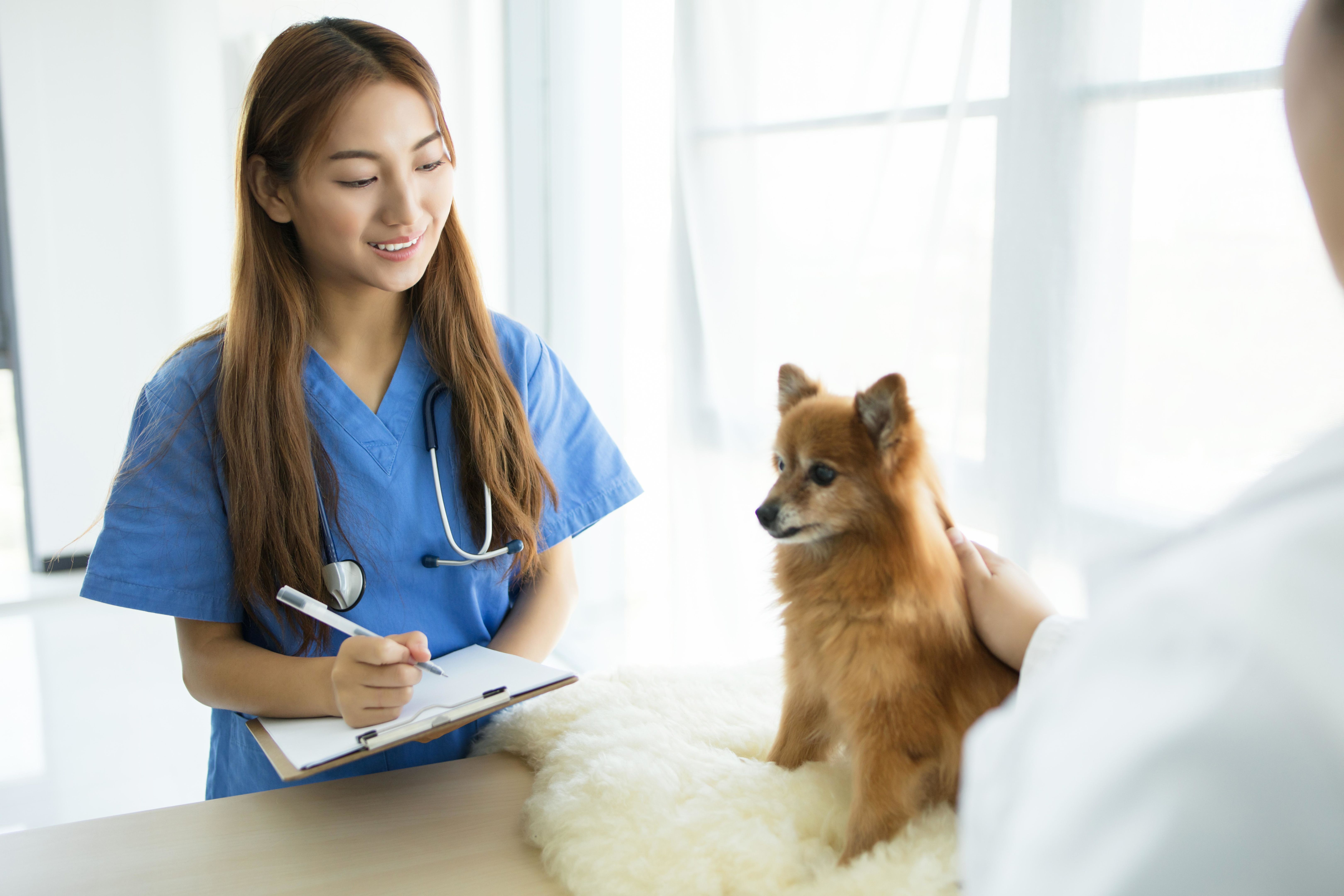 hospital affordability