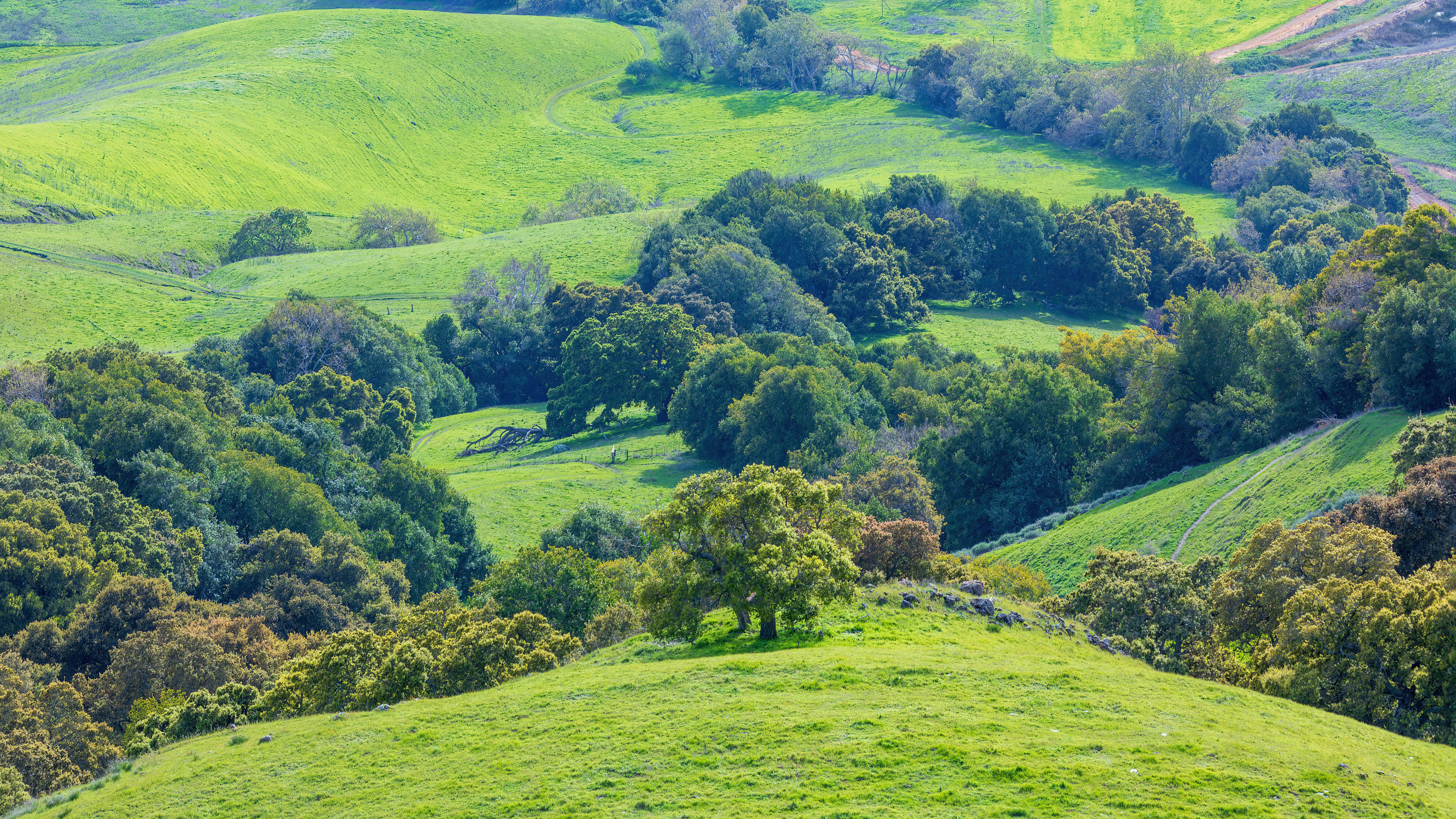 northern california landscape