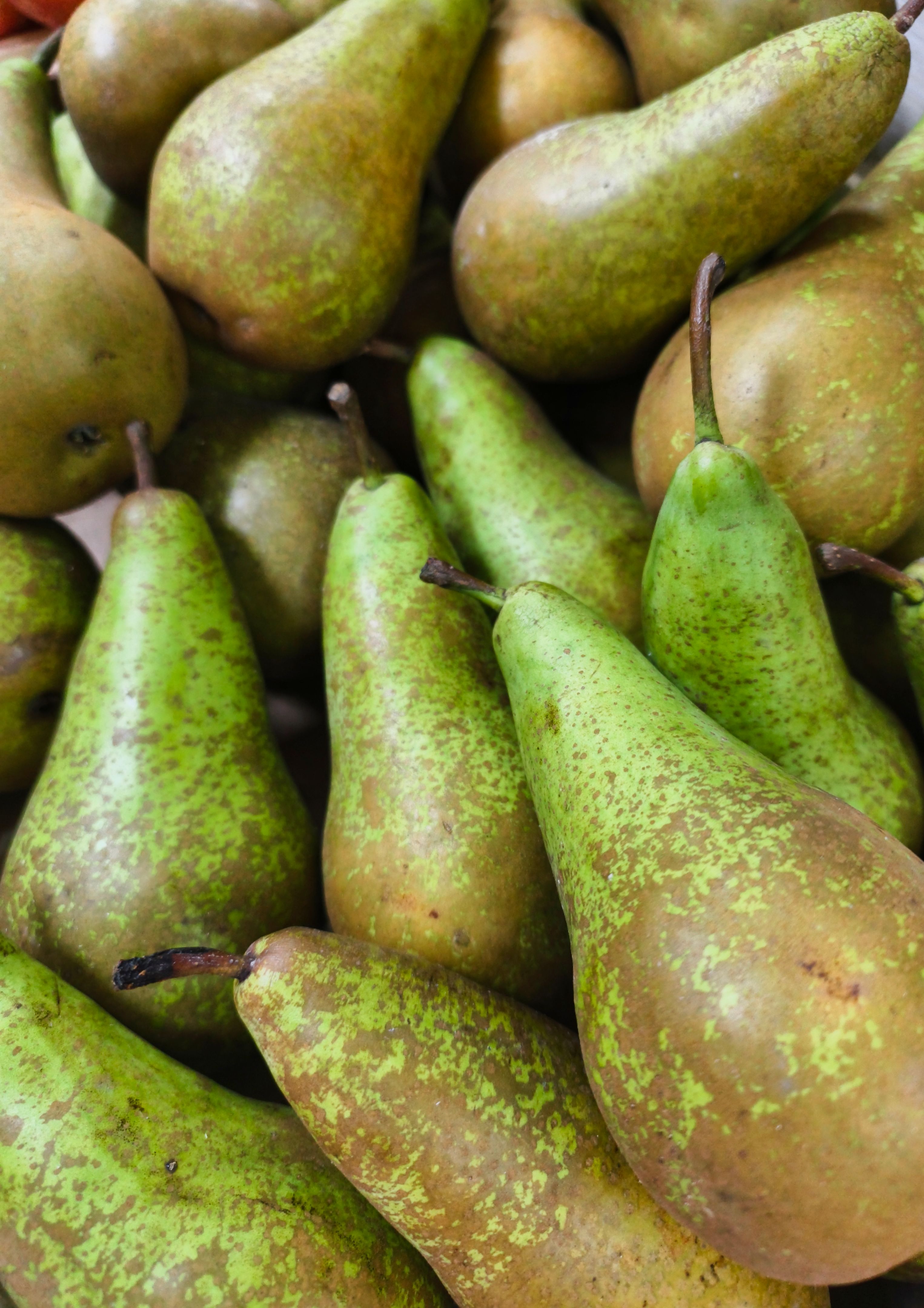 ripe pears