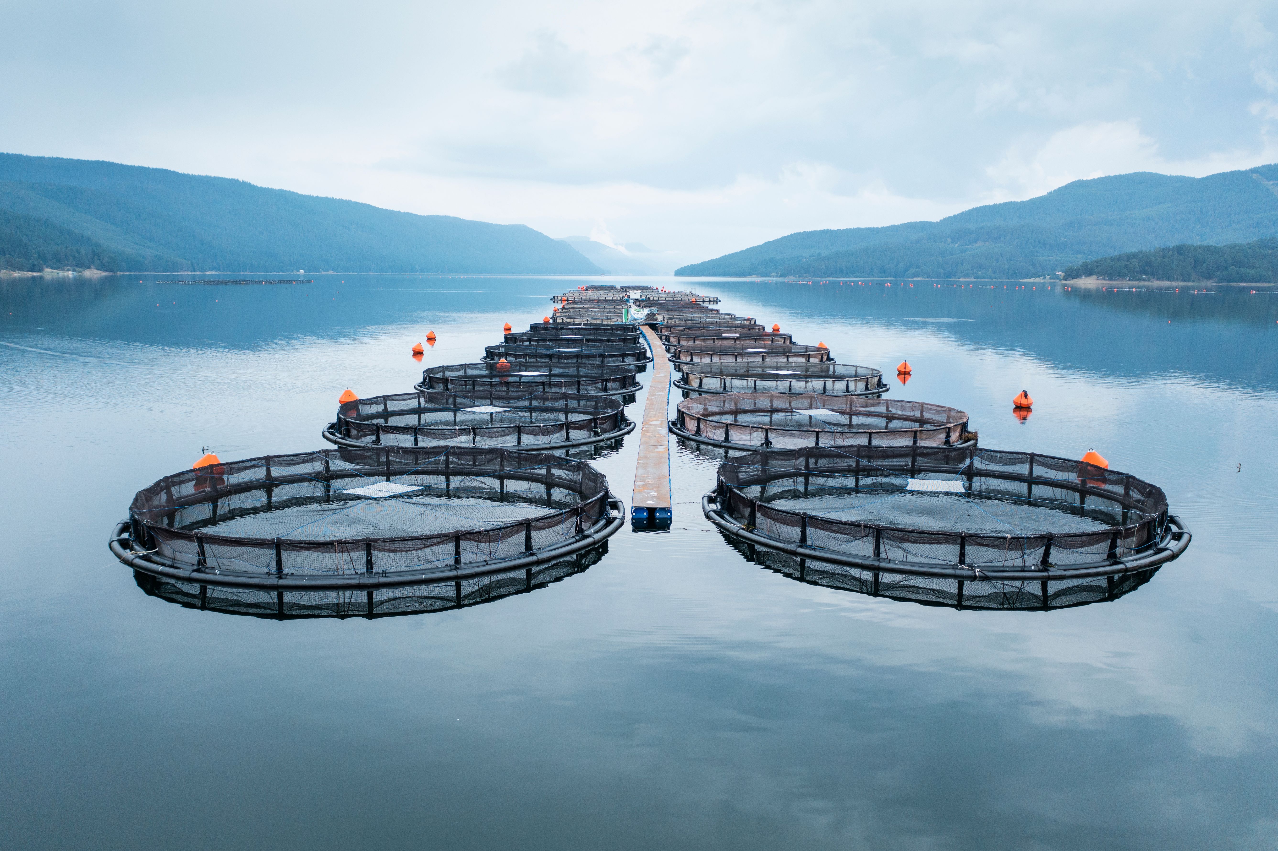 Aquaculture system on a calm and still lake.