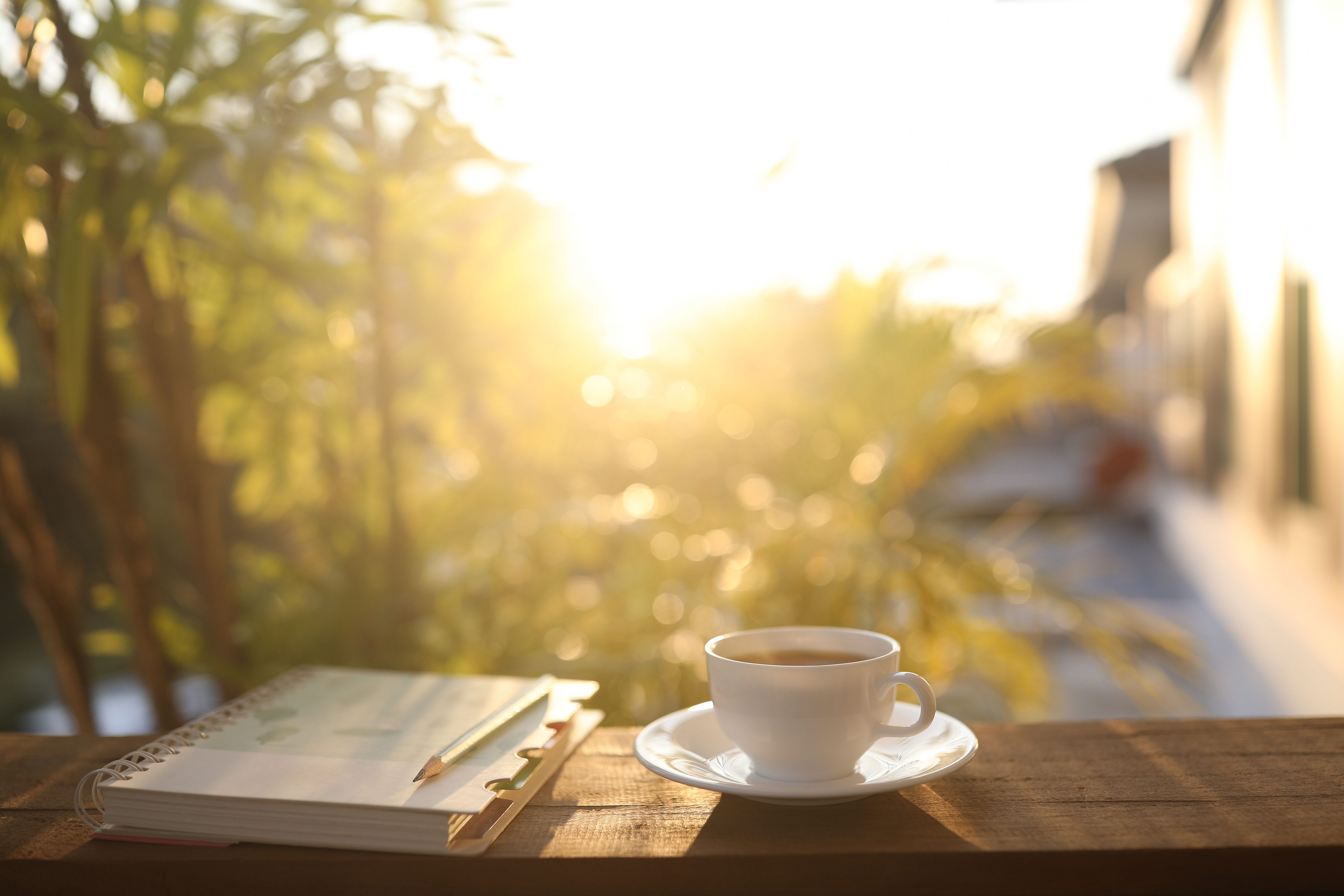 Coffee cup and notebook and plant pot on wooden table under sunlight