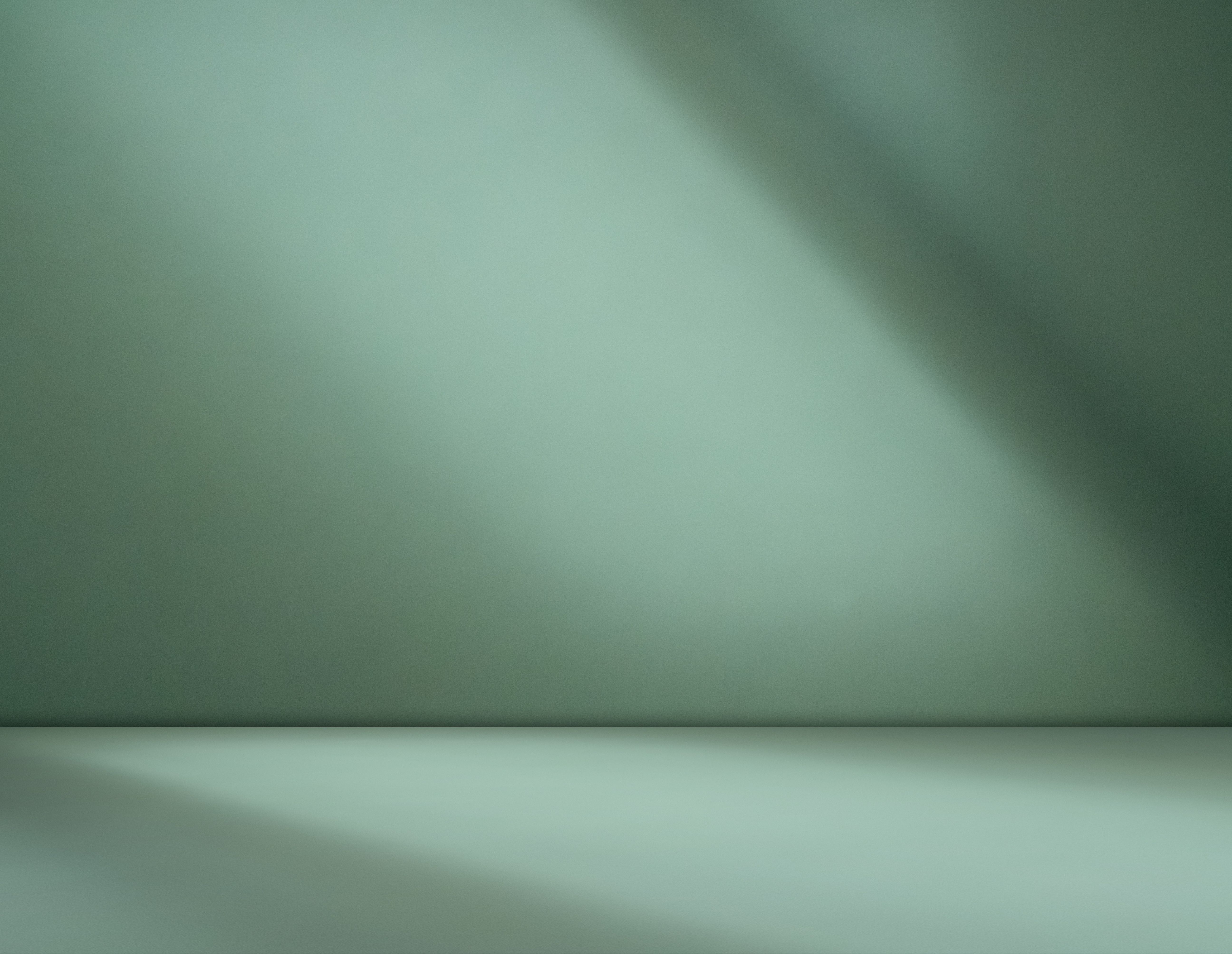 product photography background