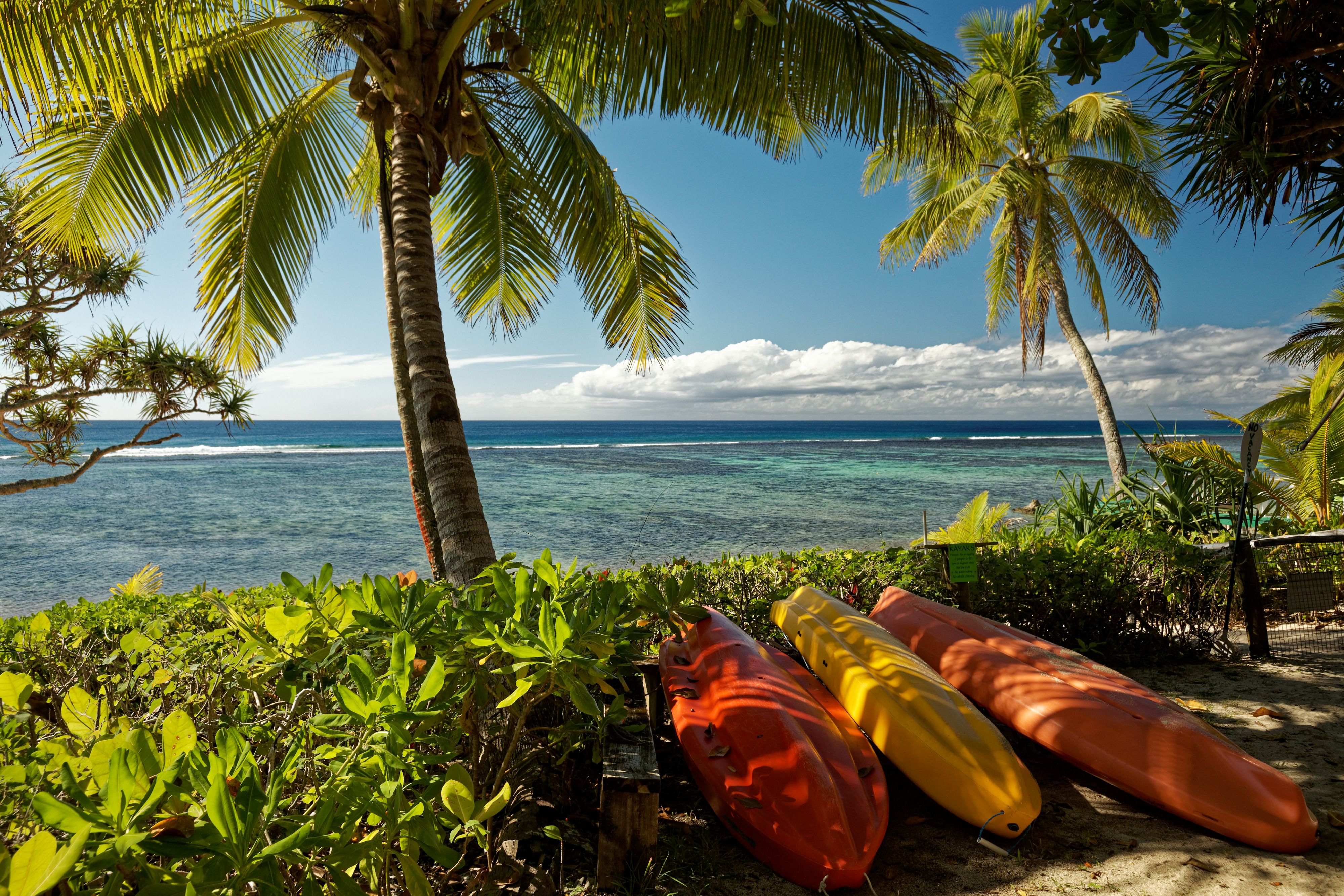 Tropical island holiday, a beach with palm trees on the south pacific island of Tonga. Tropical island holiday, a beach with palm trees on the south pacific island of Tonga.