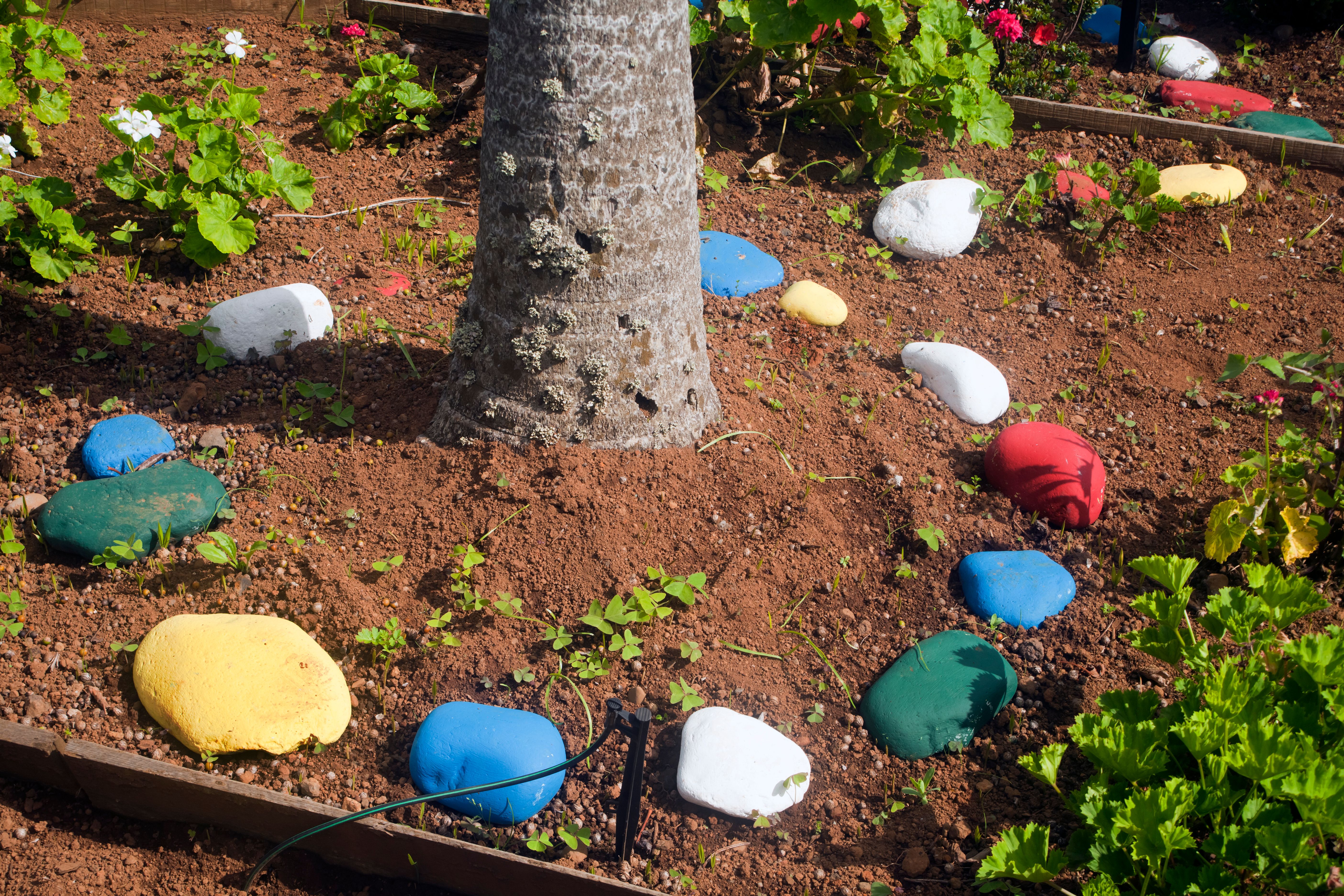 Easter Madeira