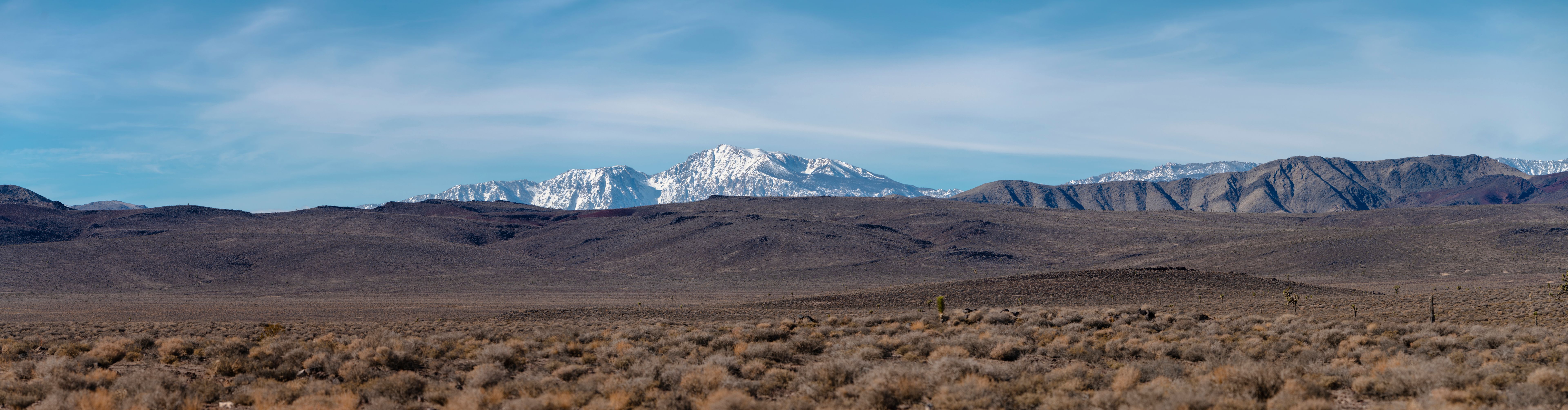 winter desert adventure
