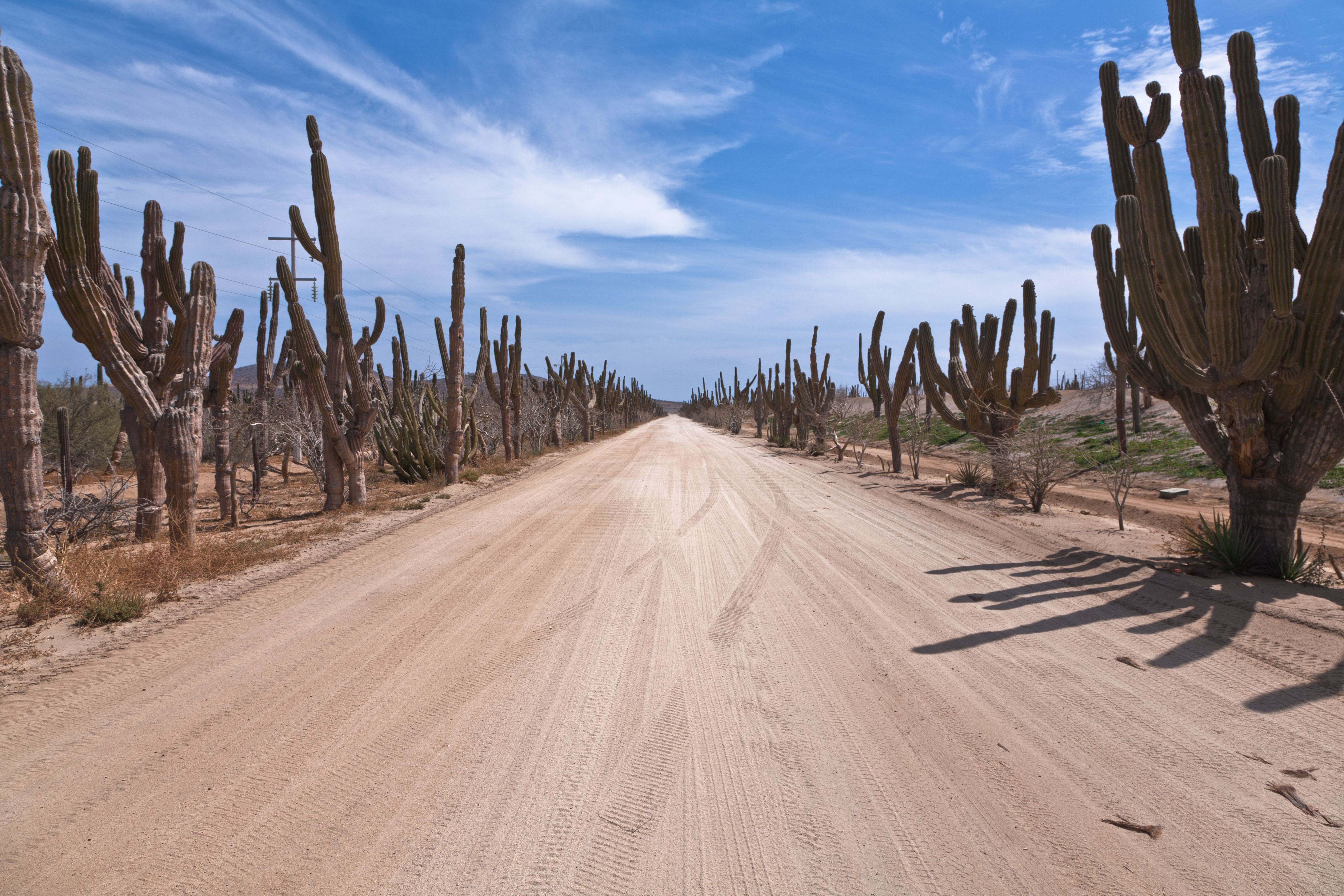 baja california road