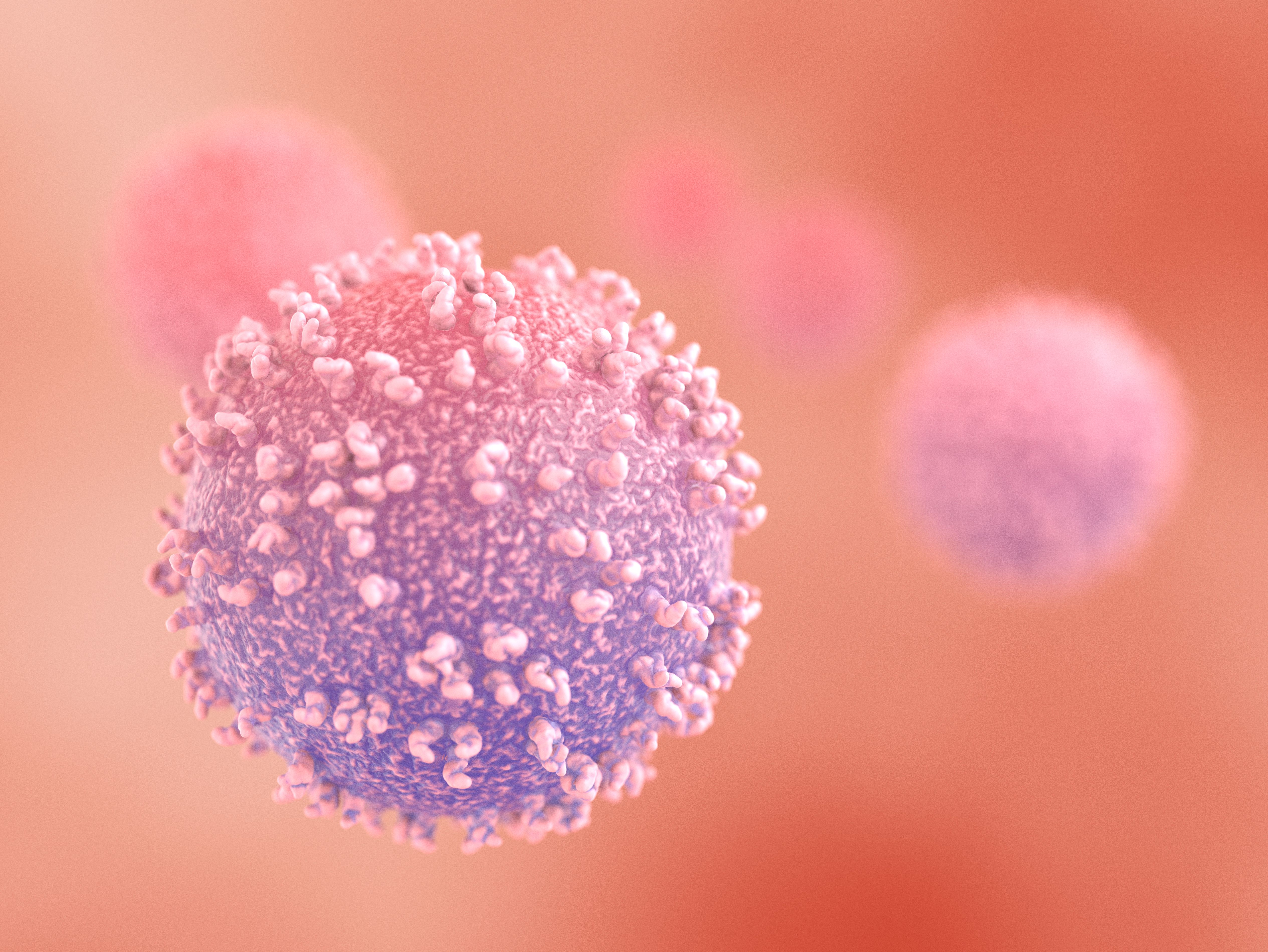 immune system diagram