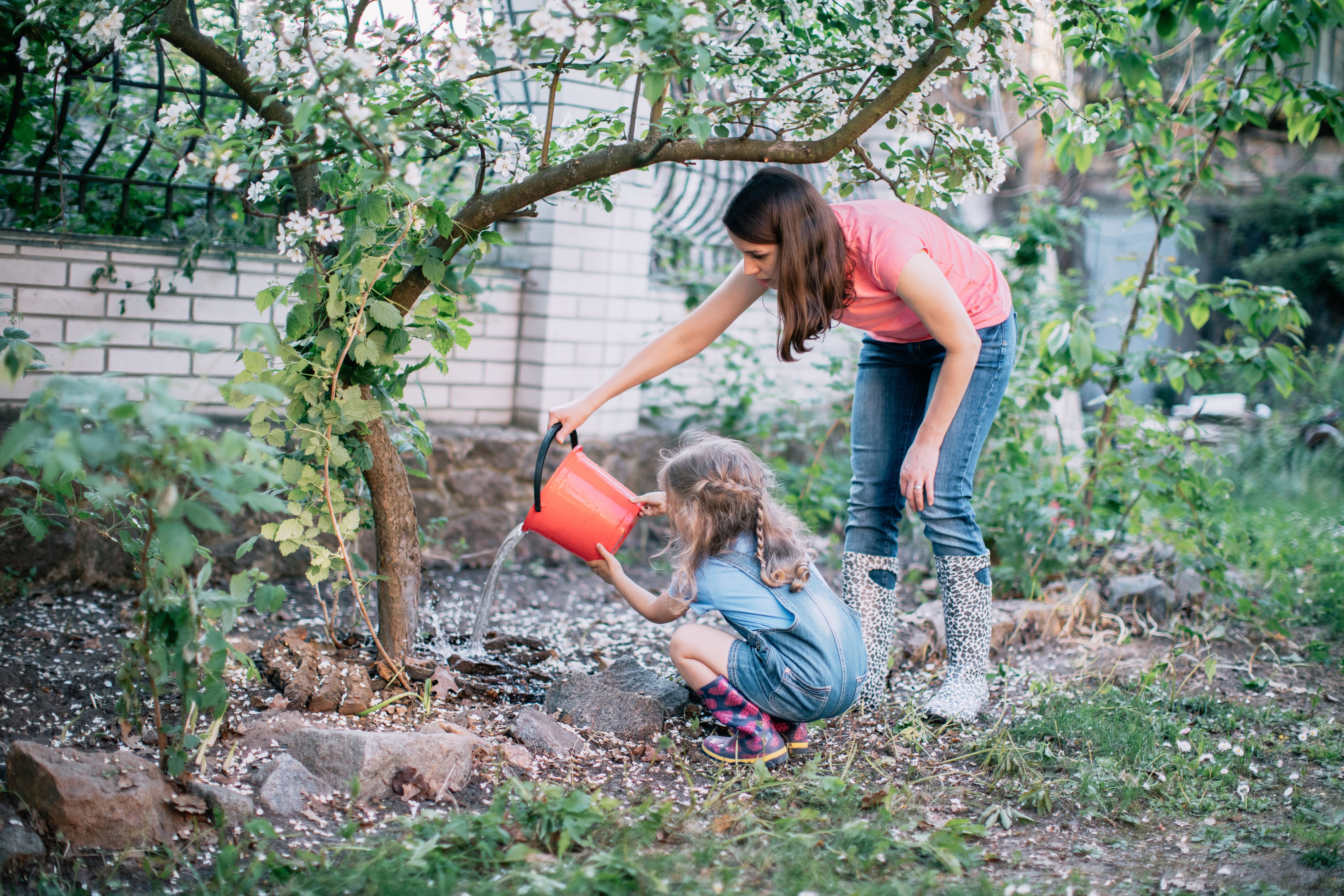 tree watering