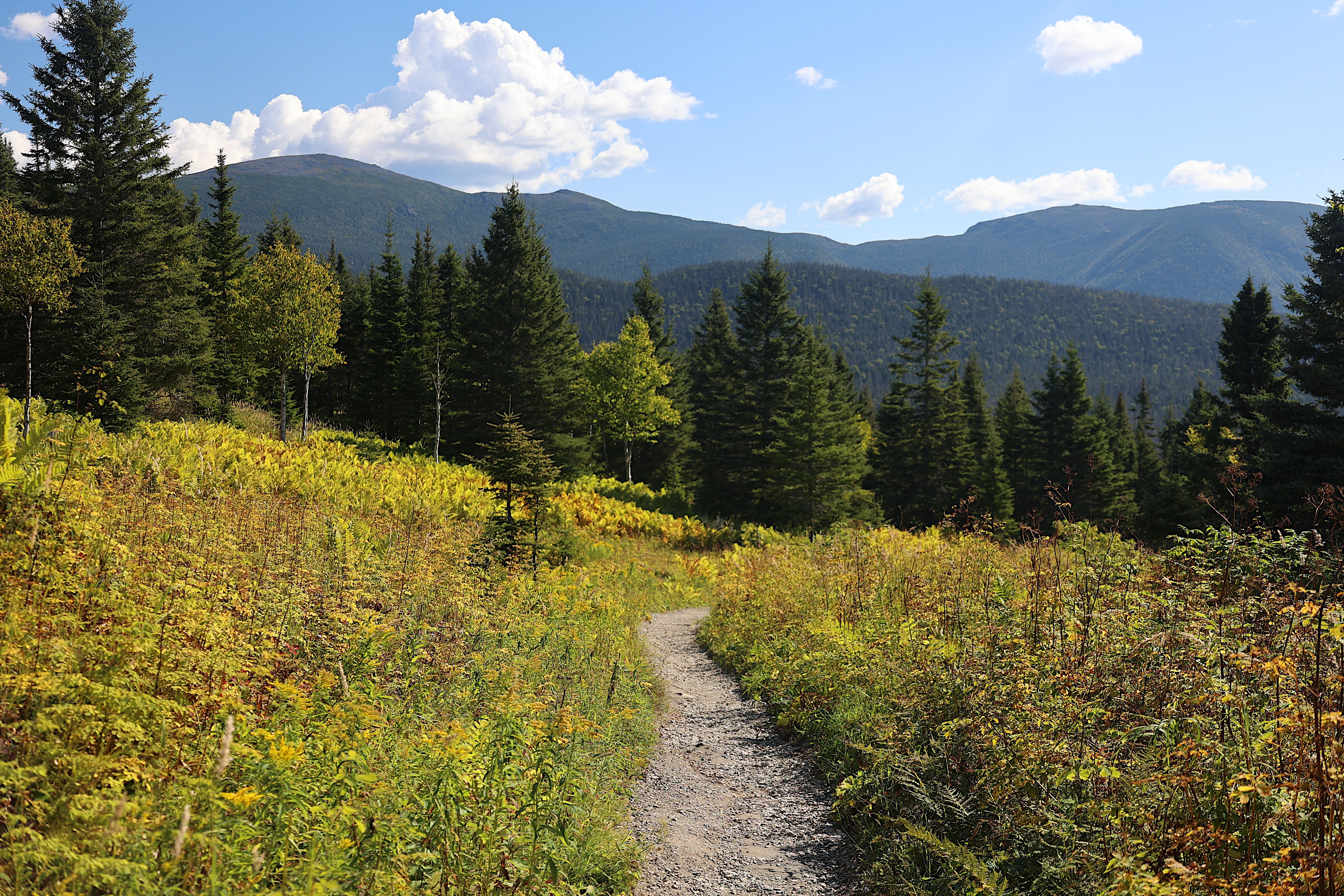 national park North America